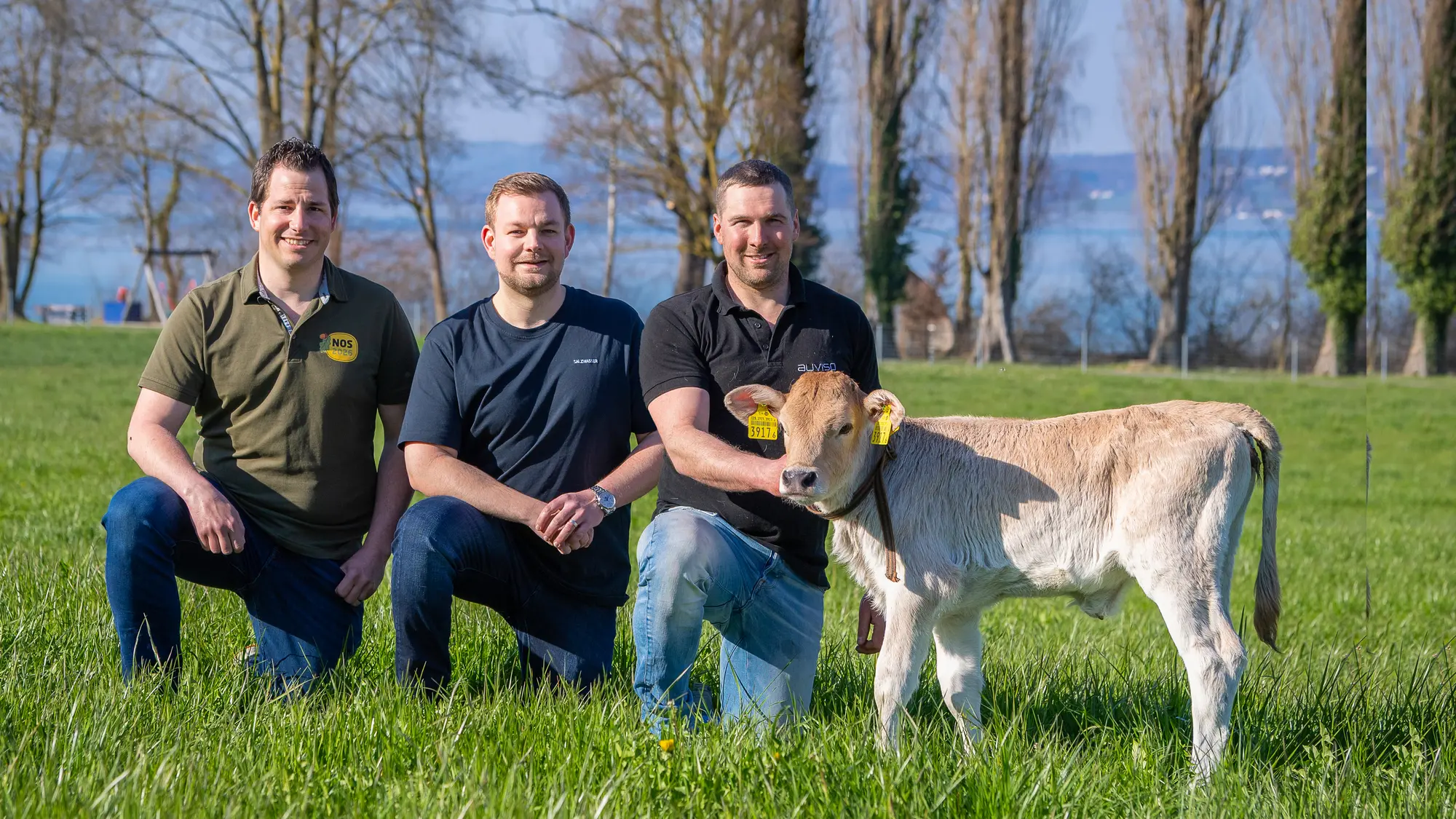 fleischmann-immobilien-schwingen-sponsoring.jpg?c=1427639afb2d42ae8dbe08c60f70900a