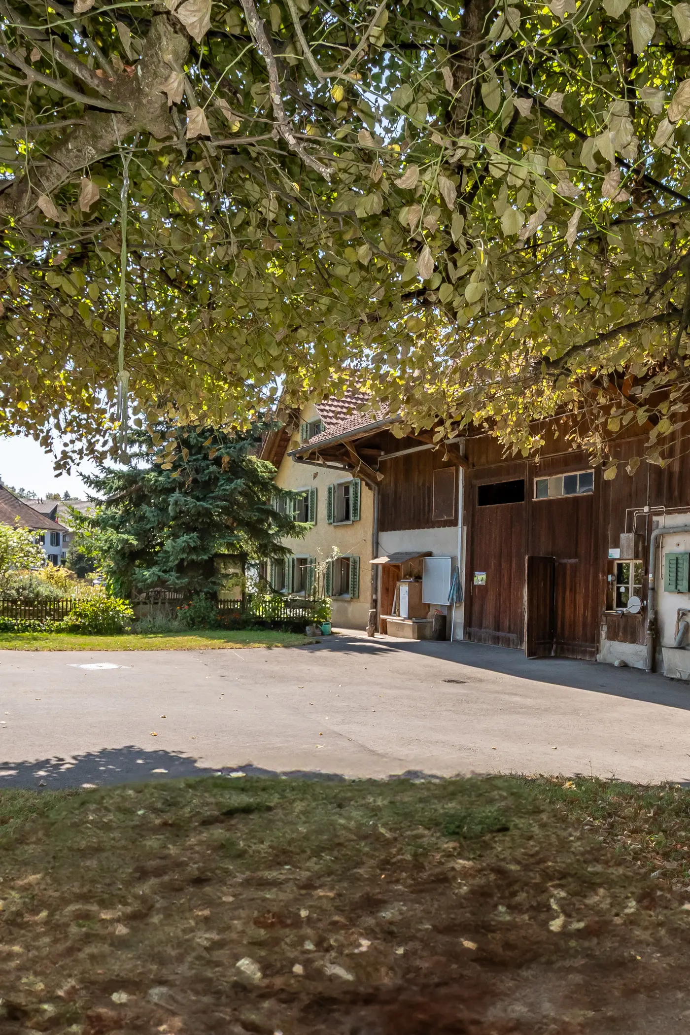 00ad29ed-acc7-4512-8bcb-db24f84123f1_original.jpg?c=cb50b4fa6d4e44fc9da174553faf29da