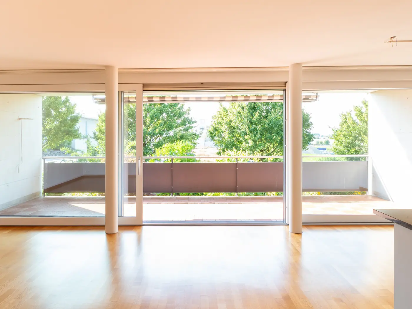 00c367c7-27d2-4fc1-95e2-9dfebc49ae2b_original.jpg?c=5c7beb2b46294c388d68a084f93ffa7e