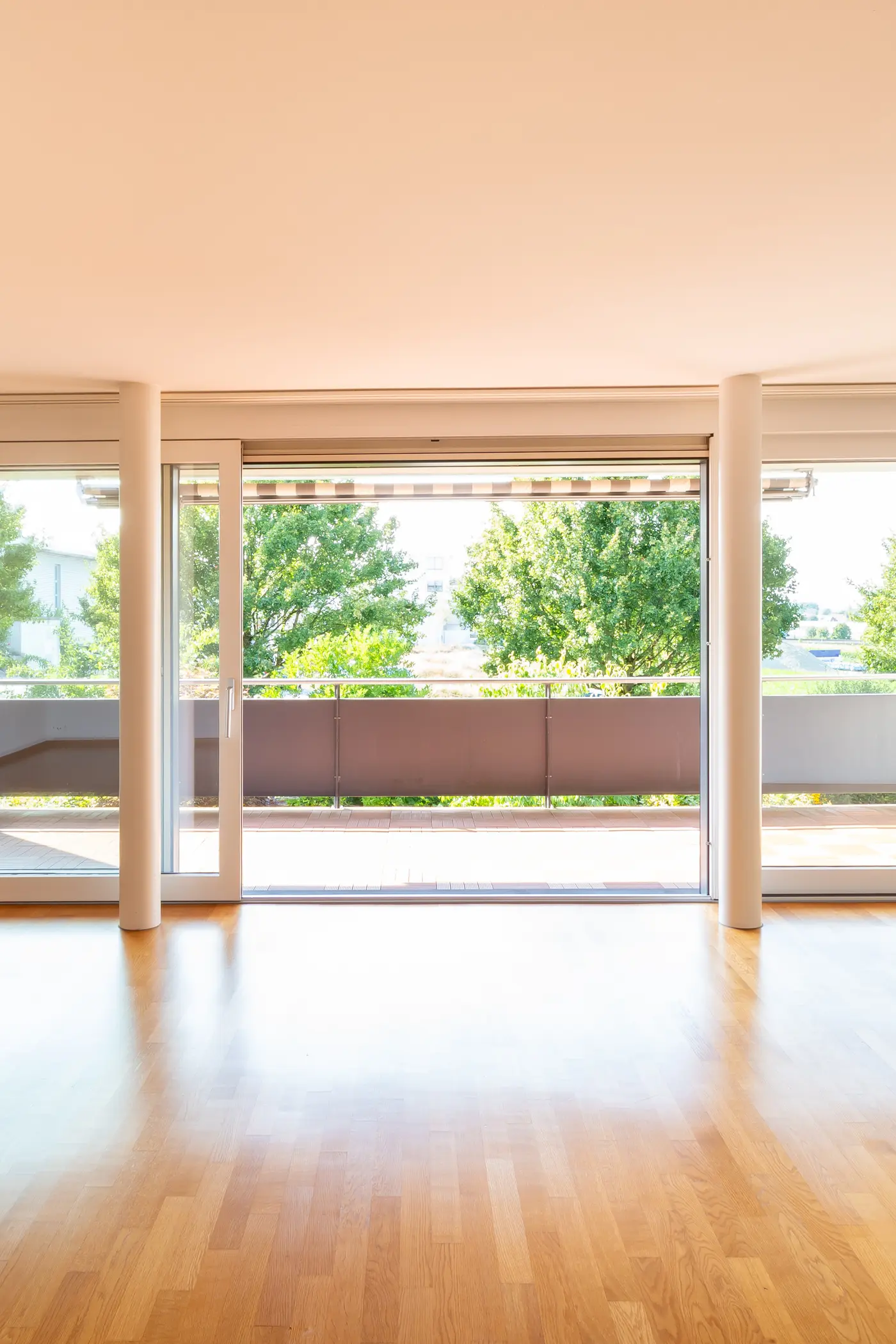 00c367c7-27d2-4fc1-95e2-9dfebc49ae2b_original.jpg?c=fb5504de22ef44e398f09ccce62b5c98