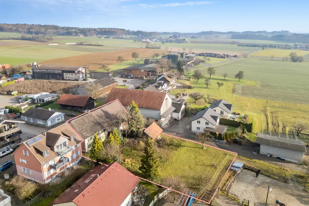 00d24932-1816-4957-b161-a328040965c4_original.jpg?c=8cd88a65596f461eb266ea934eee2f85