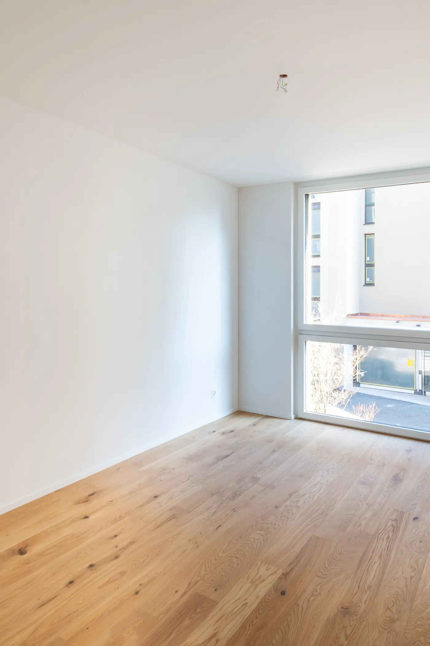 02c1600f-9752-45d0-8016-d9226a50becb_original.jpg?c=d21827725e724a8ca5386eb07cf53d9f