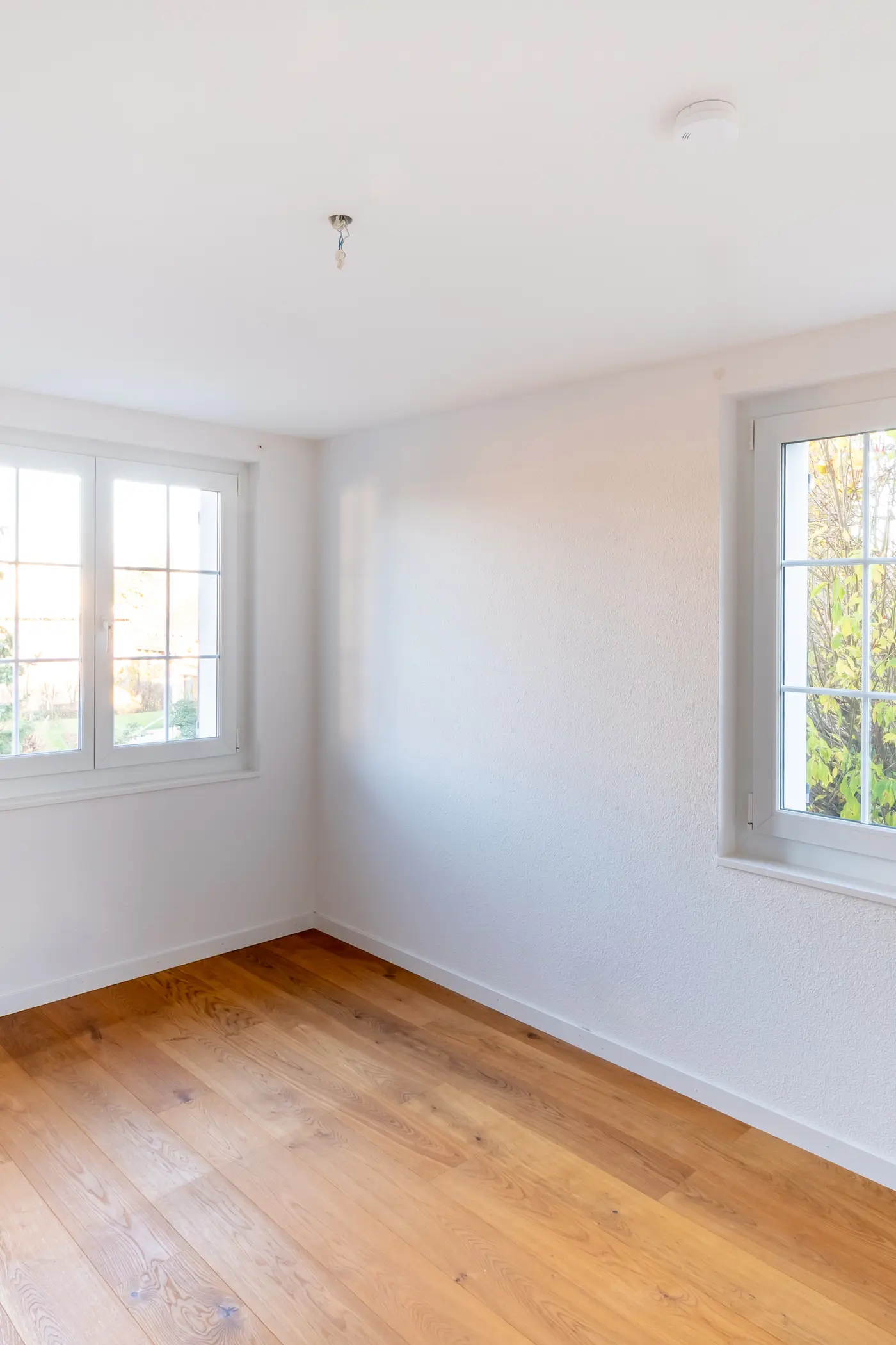 02c46243-3bb7-4a2e-bb8e-978558fc2a1a_original.jpg?c=800a94a4bb2a4fe2881291d9b35f2e25