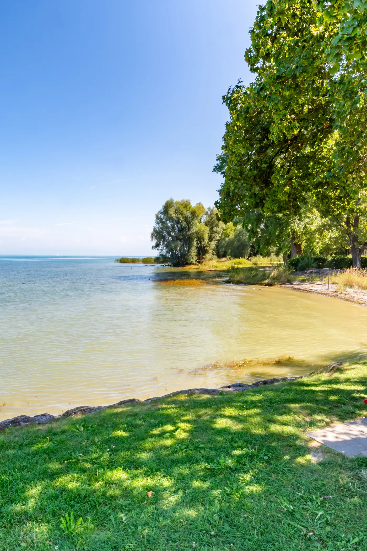 0309a5dd-635c-4d42-a091-1d6bdf836334_original.jpg?c=e3e03ed4ce364c37ac913775c55e1699