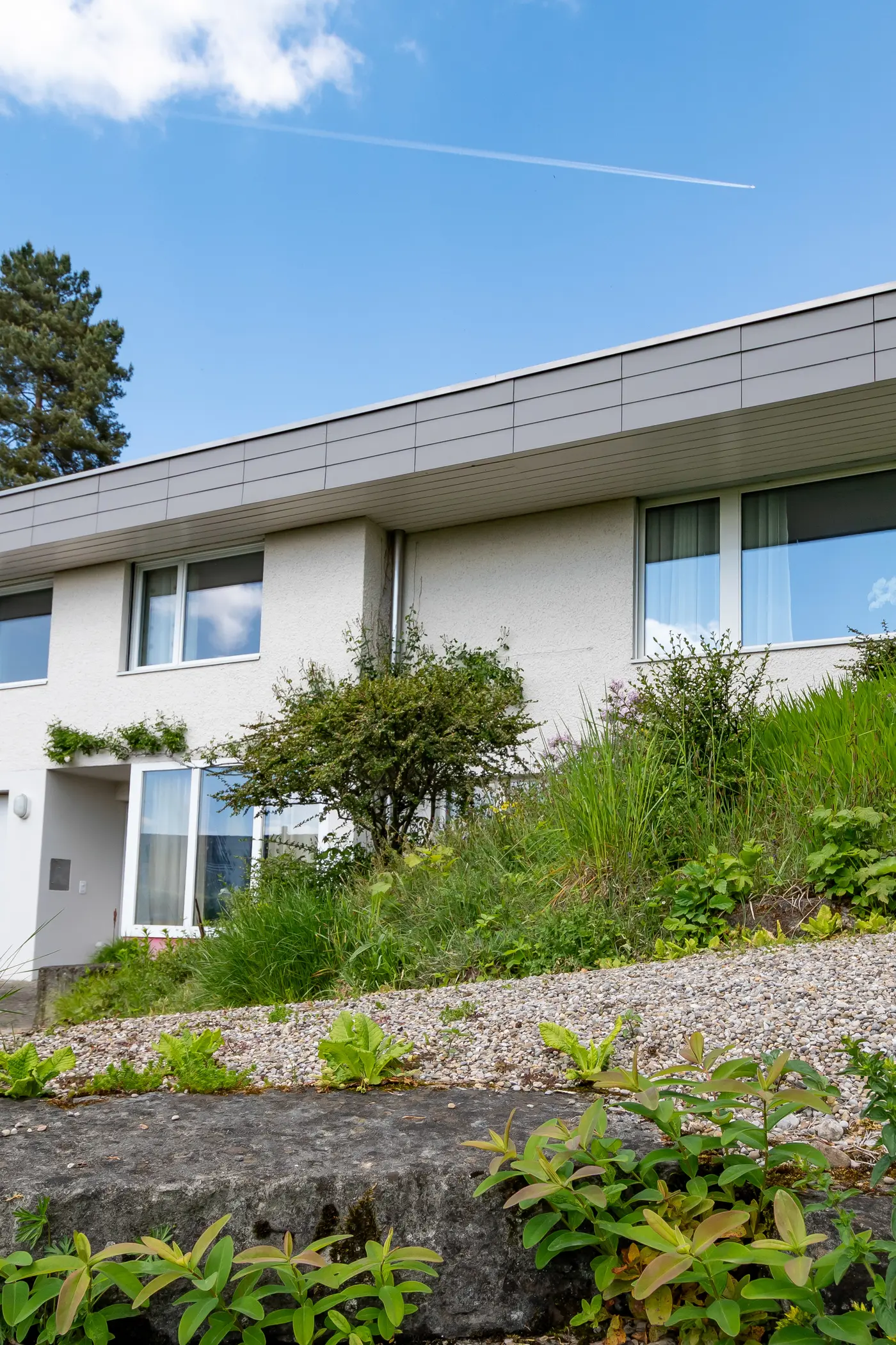 0322d395-5c34-4710-805a-ba24edd1f5a9_original.jpg?c=49e7825577434a5facbfca61eaace120