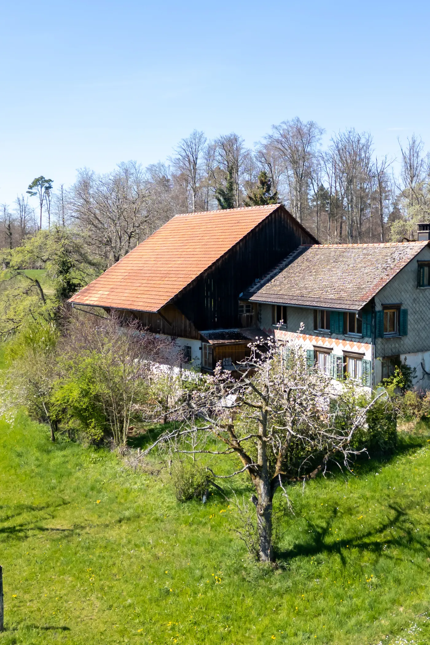 0714b45a-fd4d-41cc-8a18-8215461640bb_original.jpg?c=d4b422e6b4f844c5911c1df3dfab1d12