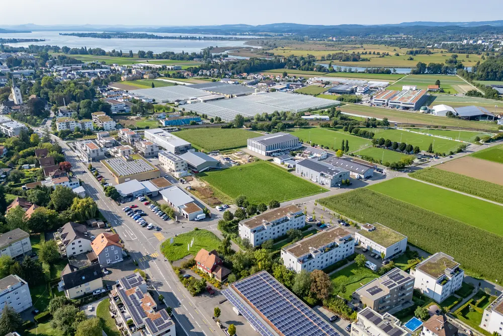 0cc5b30f-beba-4c18-9d67-52546d2dc6bb_original.jpg?c=cef0fcdaf94f4e5b82d8e2de35c34a4c