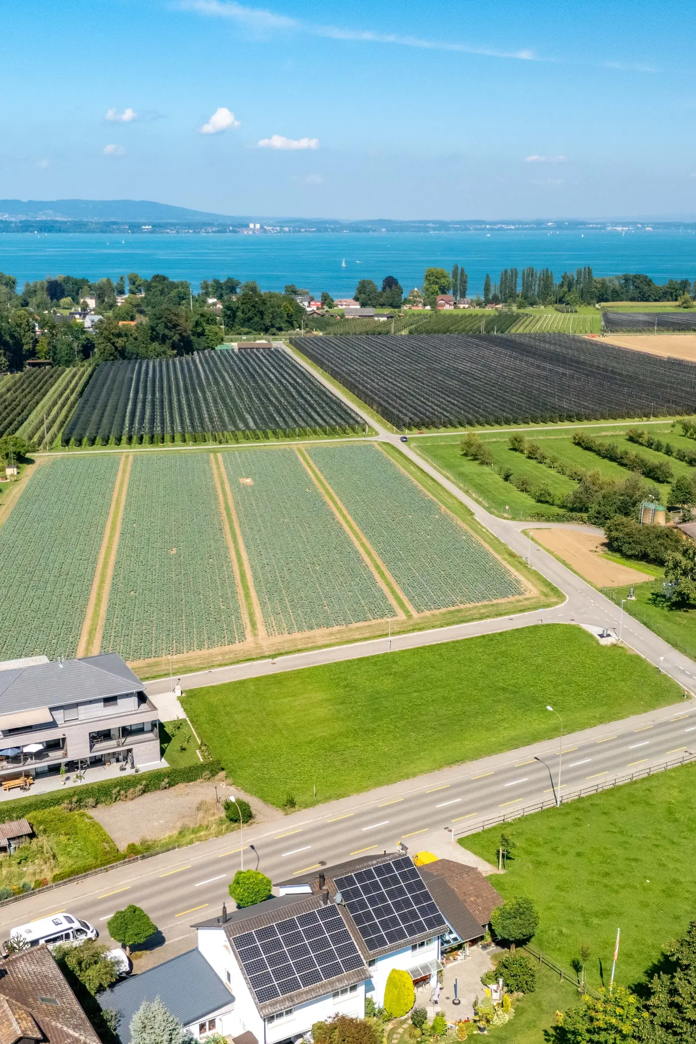 0d7a2e37-52e9-40d7-8232-8486b379d36a_original.jpg?c=a888d07be4df44eb836844cefcdb4094