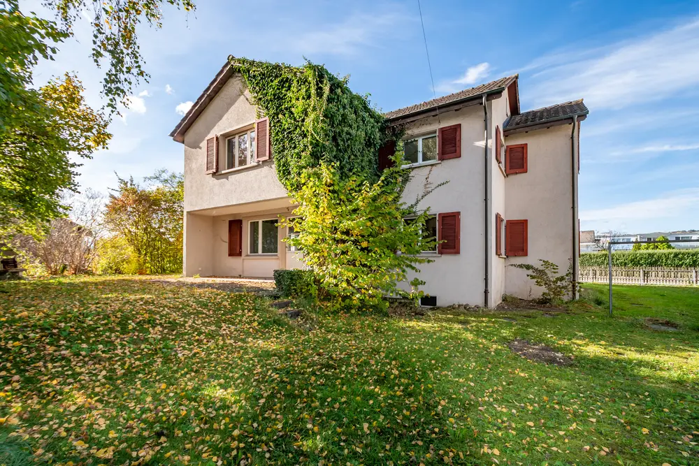 105b845e-778e-429d-b9bf-1f671ee7203f_original.jpg?c=6f2fcc37eb4144a4896de65bf5fb8ef6