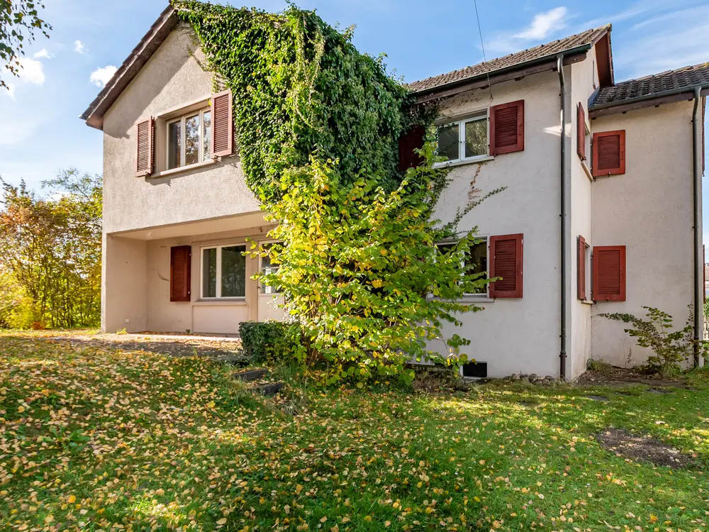 105b845e-778e-429d-b9bf-1f671ee7203f_original.jpg?c=846f79a9ea4e4e9dac76401ee4848606