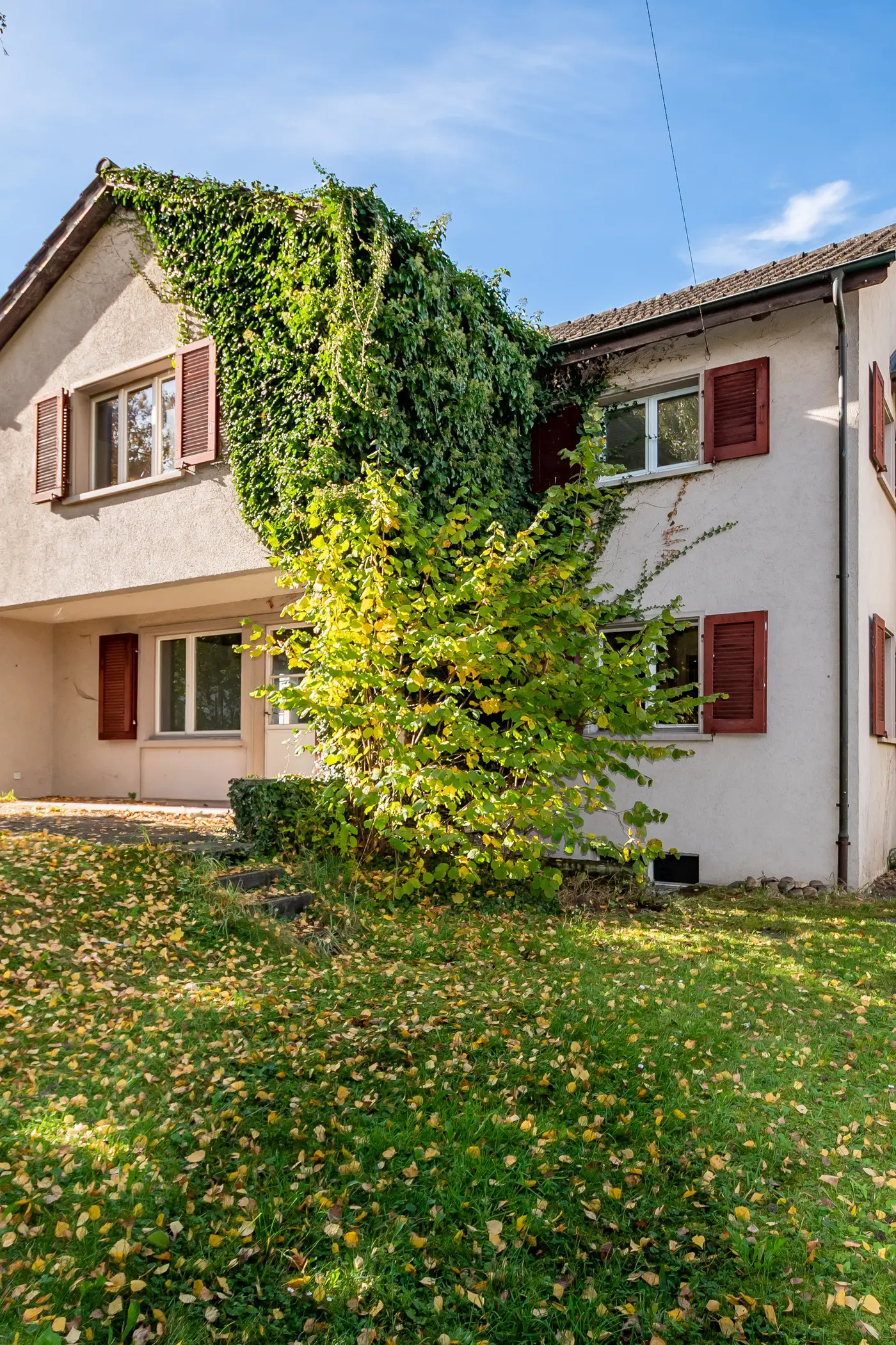 105b845e-778e-429d-b9bf-1f671ee7203f_original.jpg?c=9c7ffa695af44e44bc5f51d3c400b91b