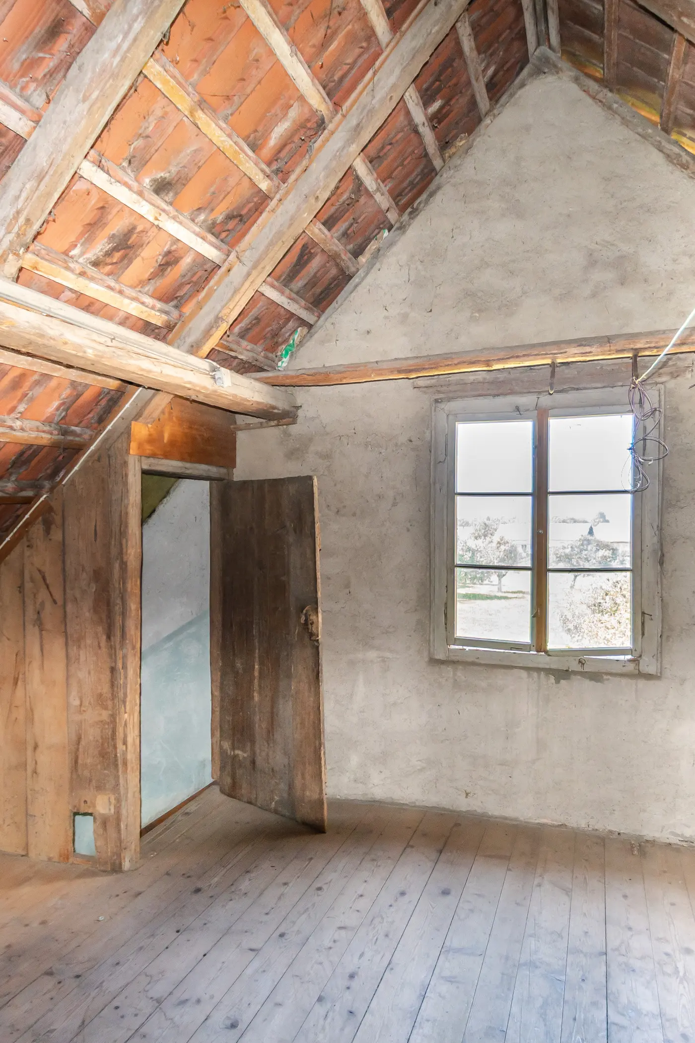 121a3e21-71c0-4ec6-8acb-633ec614d895_original.jpg?c=ccd3adb4828e4e7f96eacab2f9250f4b