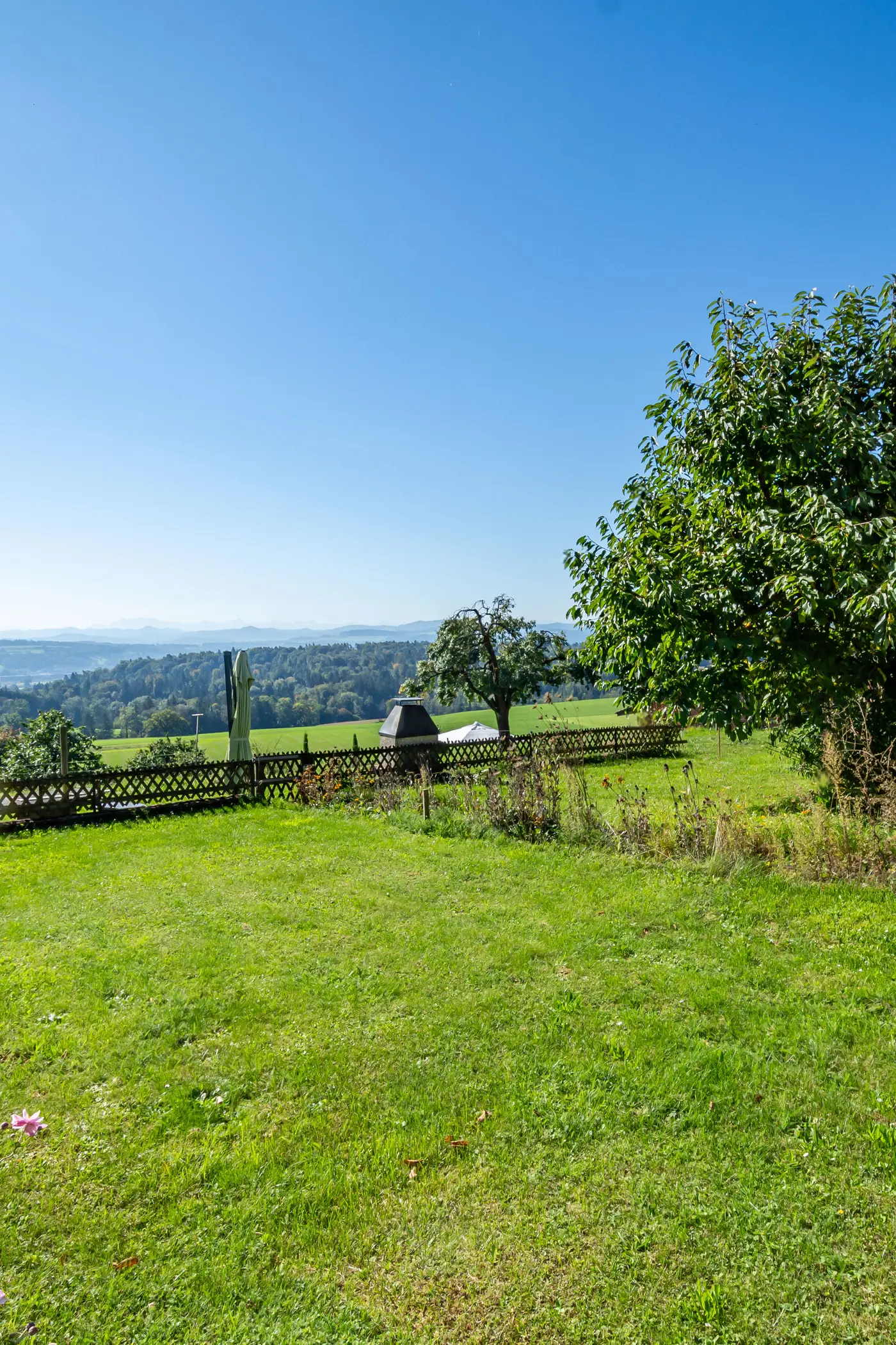 19018648-6ef8-4f15-9cf9-38d76eca3645_original.jpg?c=8c714ade16774795aed12e68d1330484