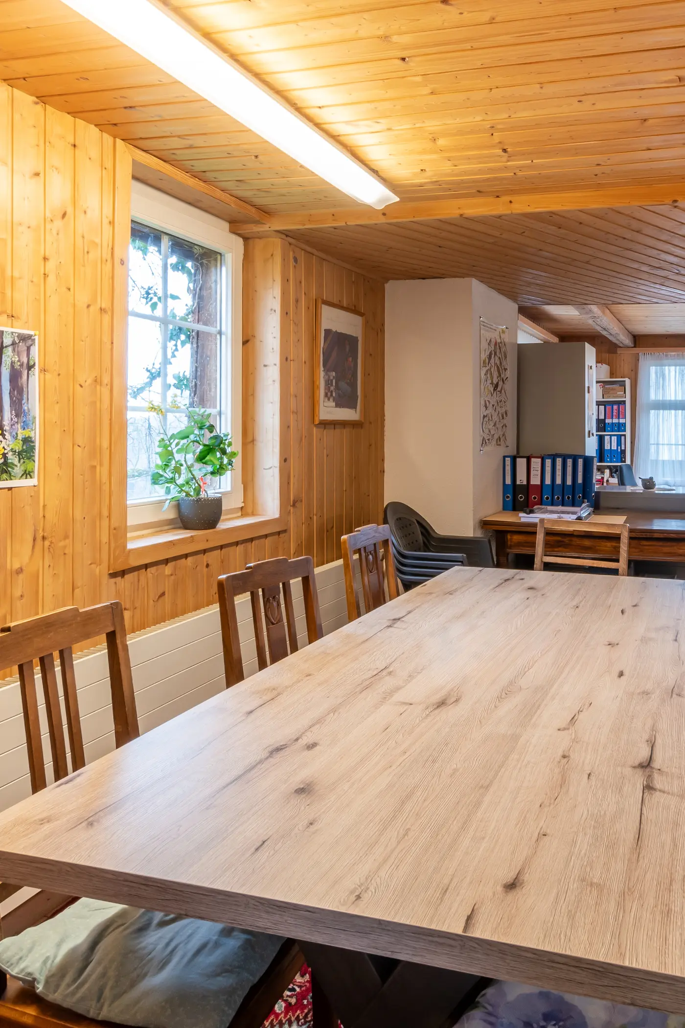 1c8d60c5-a753-4e13-b932-6c1b9736411d_original.jpg?c=d578ec1c0d81406caf7f34dd2137e465