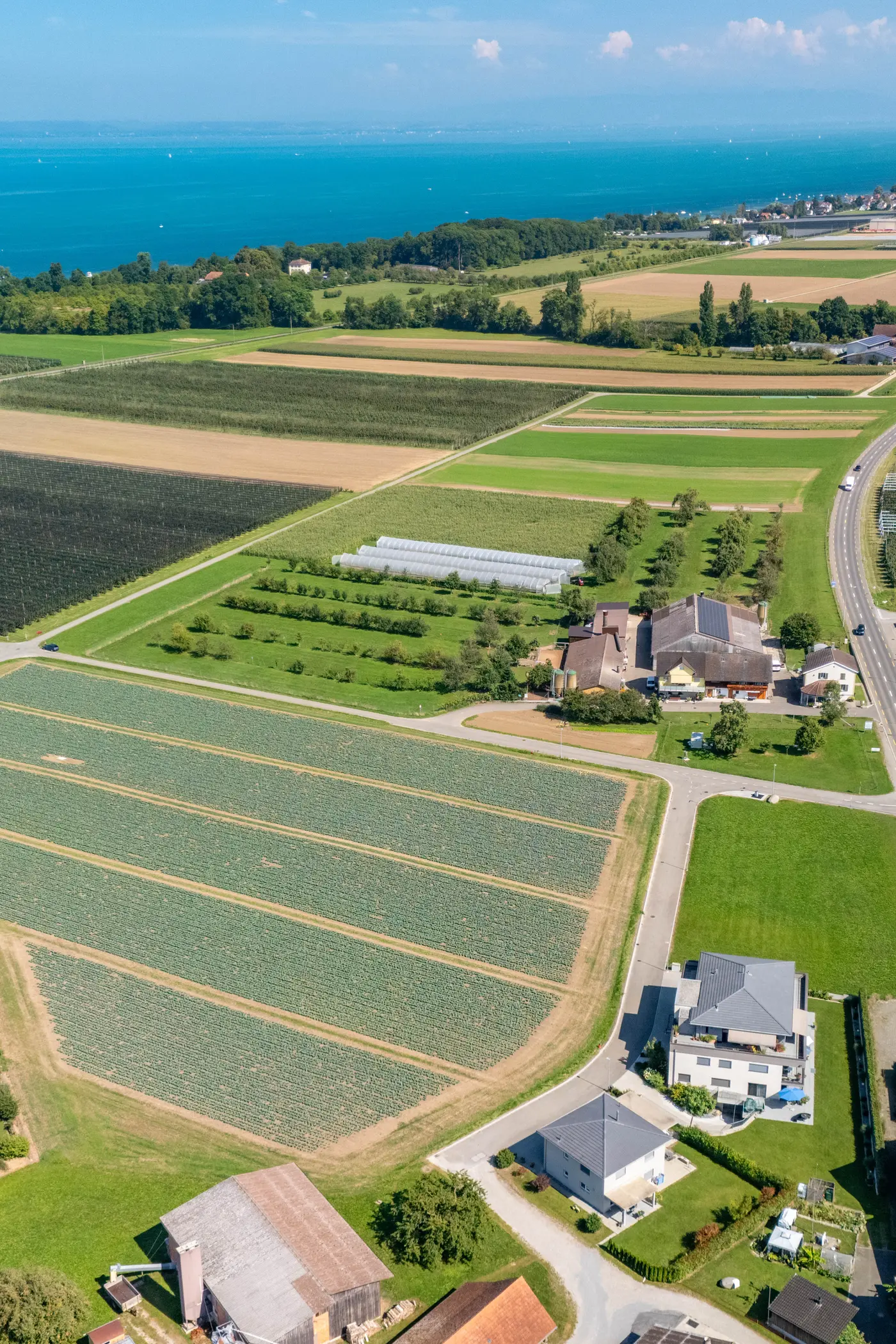 1f7c1691-6564-4b75-a9e0-8fddc67b61d8_original.jpg?c=dfeafbdb45fd4696a90213b6b89b29bd