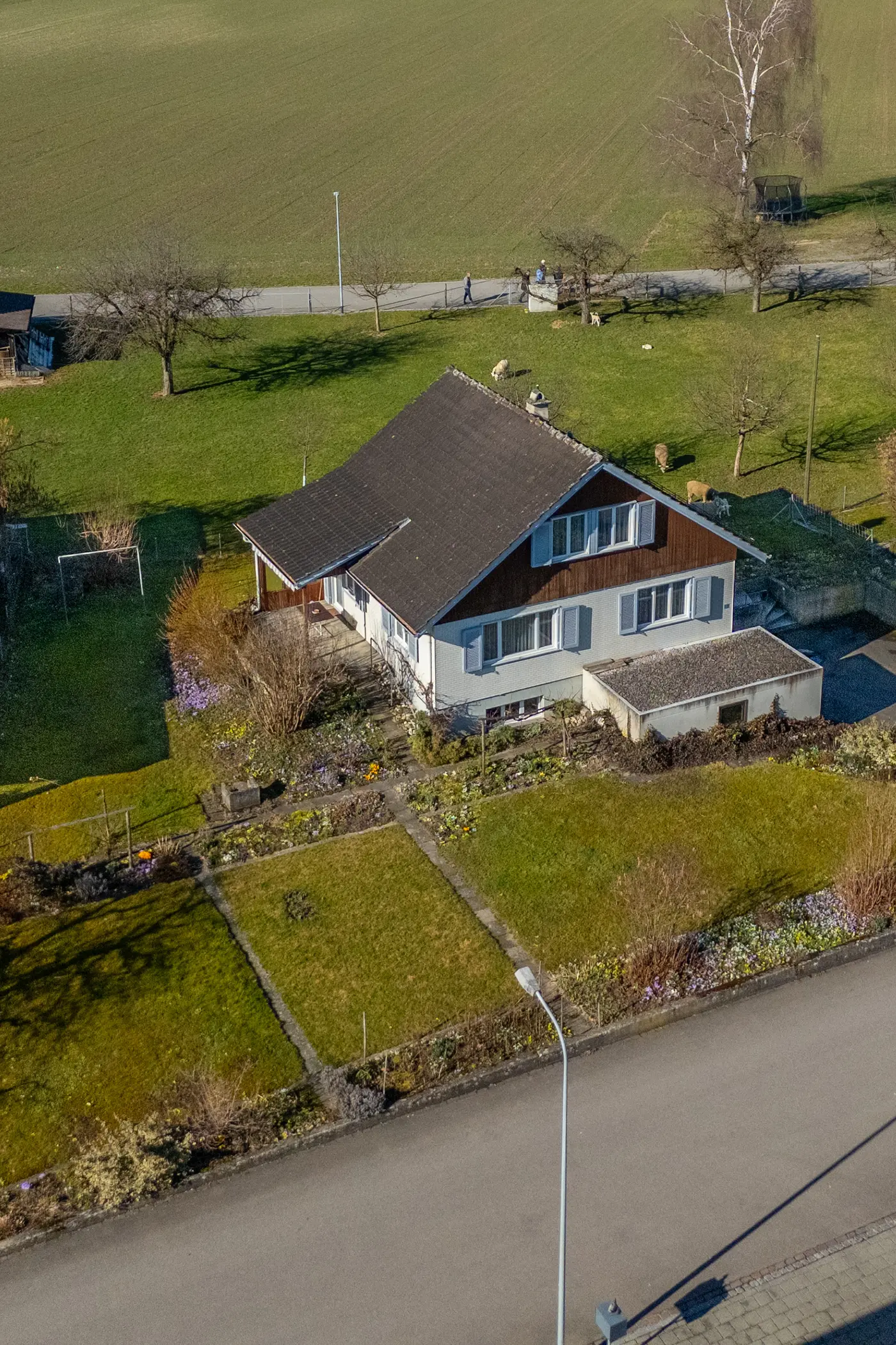 226d95ce-9853-46ff-93ef-a235e958ab13_original.jpg?c=e9ea6275cd814dcabd6ef3e4b70e17b5