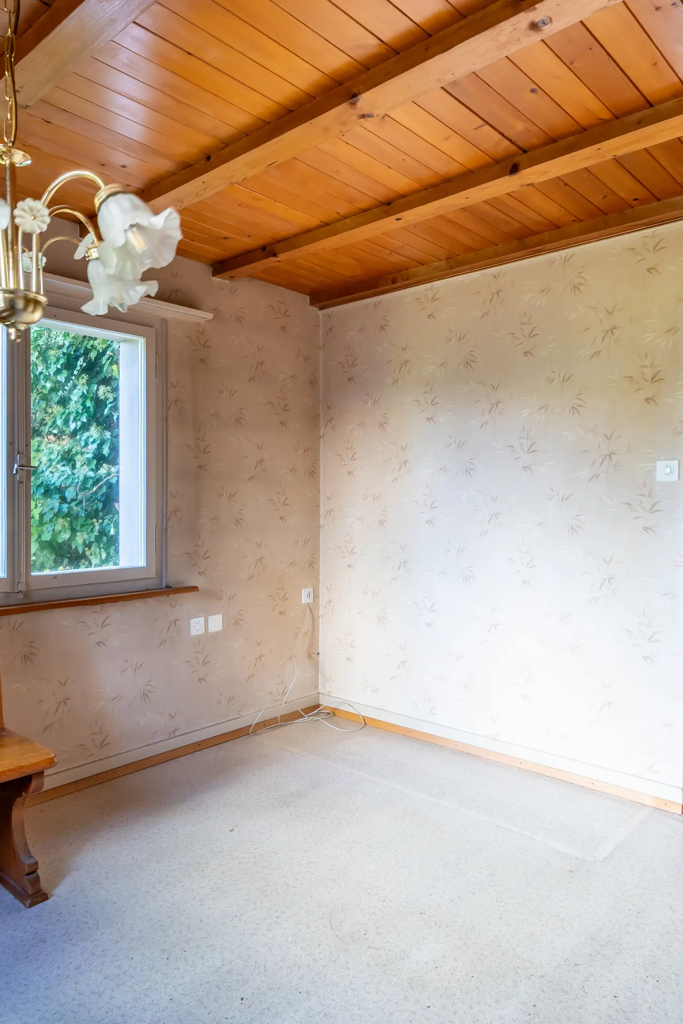 23330505-38fd-4229-bf63-44dfaa47e7a4_original.jpg?c=b9d7b7347a2440699a8d5bebc351f6fa