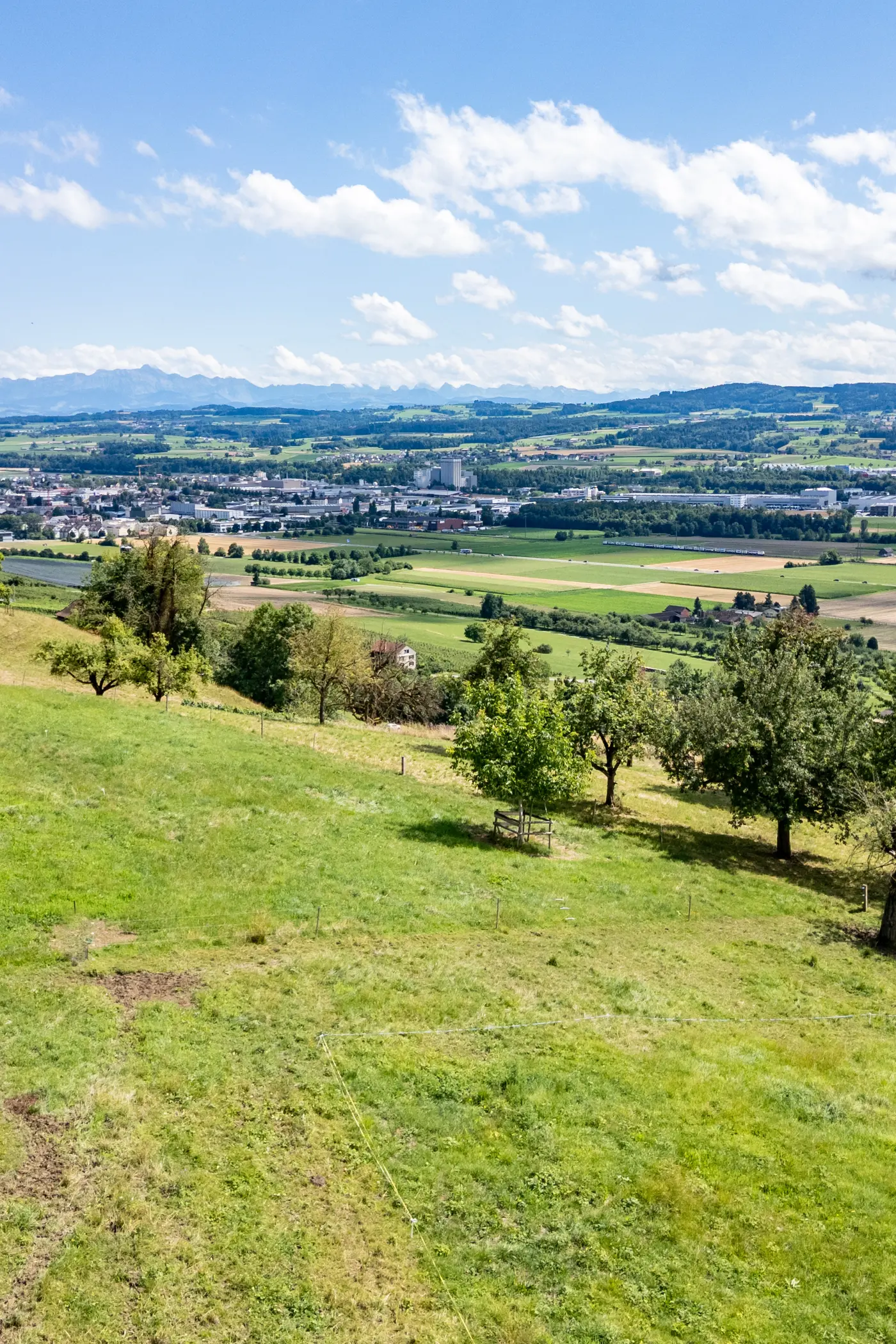 25419db7-1c52-4adf-ab4a-ad11129eeae6_original.jpg?c=276fbcbe789a4b629abeab8eb891cafb