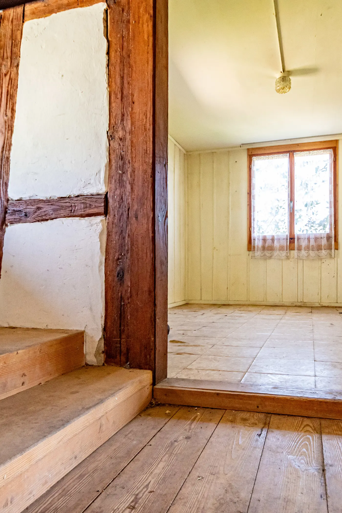 25f96a6e-883a-4bd5-89d5-a371d15a0dc6_original.jpg?c=e6d11c2813d84184b5ddee320b22e7a9