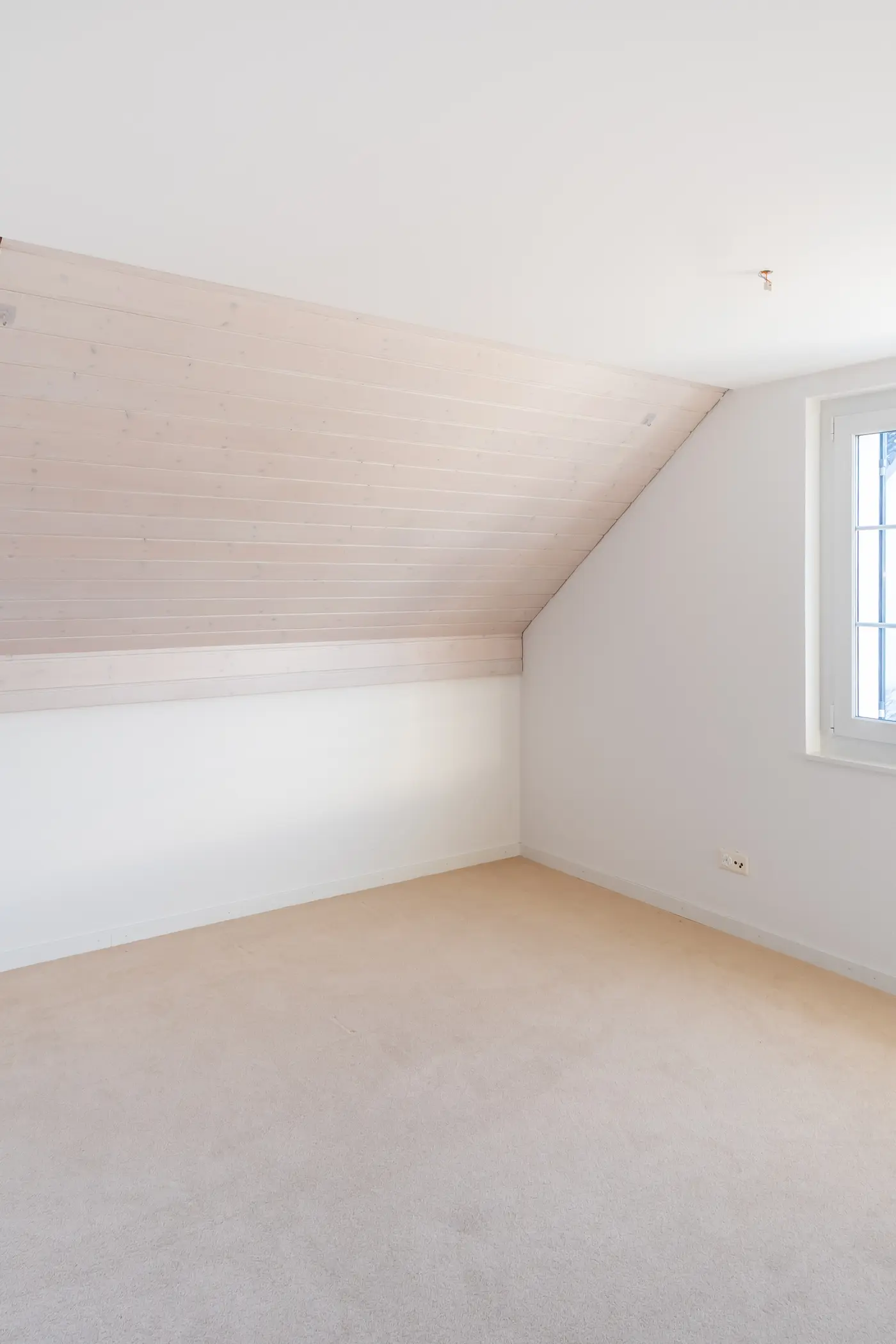 287df5b9-e56d-4fcb-bf0f-ed806f8dff7b_original.jpg?c=e0ef76d07e974c2090f2ec68f082fed5