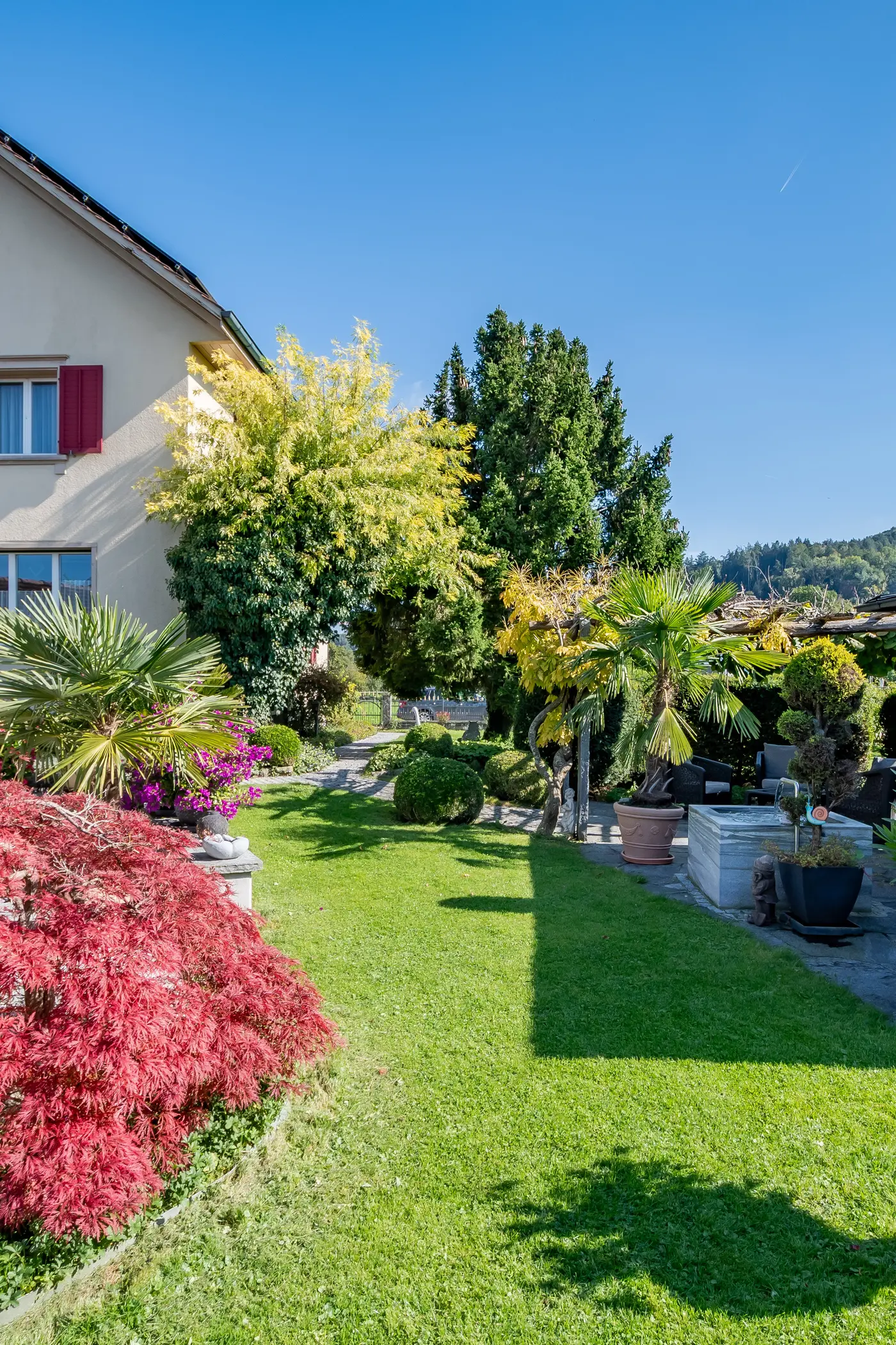 293fd53d-ce2b-4e5a-a6ea-42d3e77b69e0_original.jpg?c=51bcf8fd6f2243b29c93a1a7284ce9df