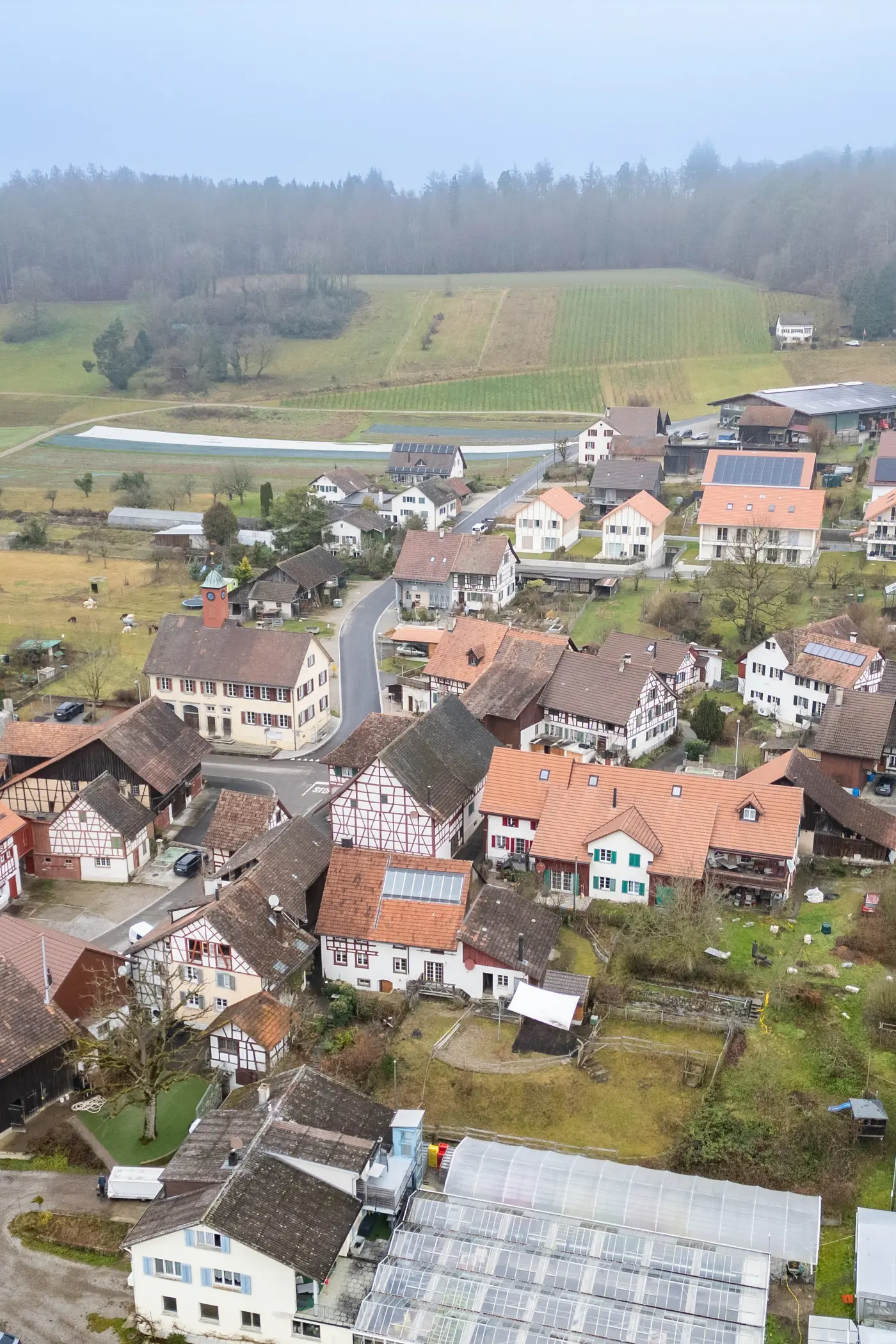 29df3b39-55e7-40a4-bb80-73138198ad2b_original.jpg?c=eeafa831ad7842ef97e6a6fd6486312b