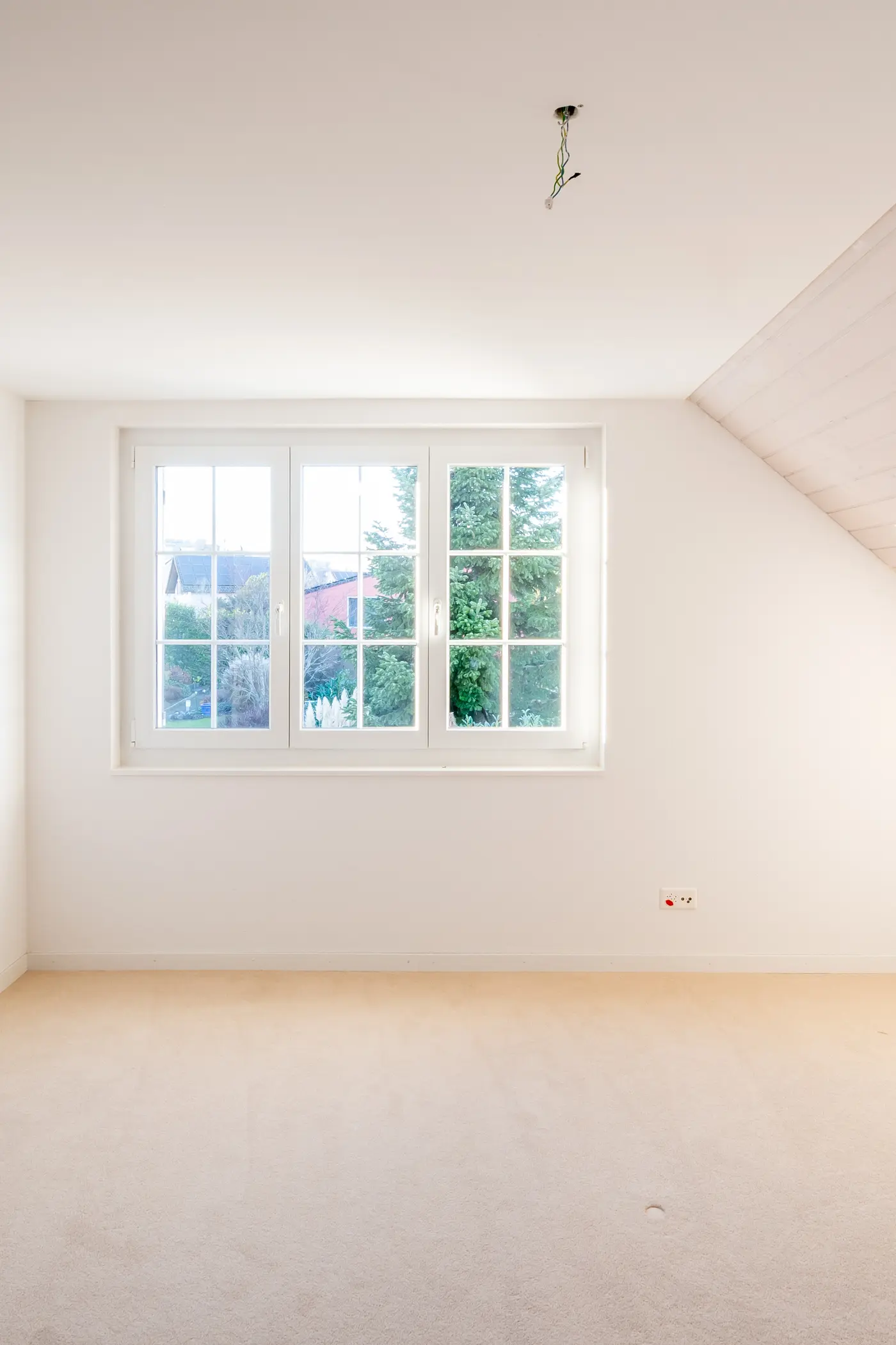 2b38368a-79f9-45d2-9a3b-98b1dfdd24d5_original.jpg?c=2a54d50d575a418b96f32d4104cc21d0