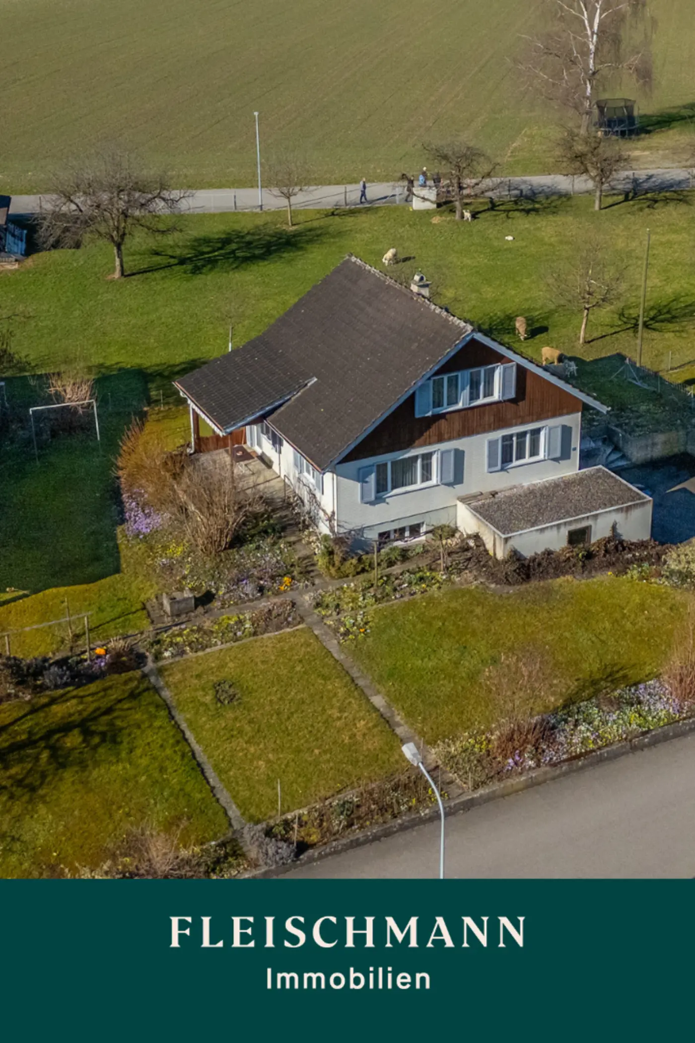 2c877db5-6f2b-4b4f-adea-a1c1d033b54a_original.jpg?c=eec95d4f3d81470bb2ae1fdd02238259