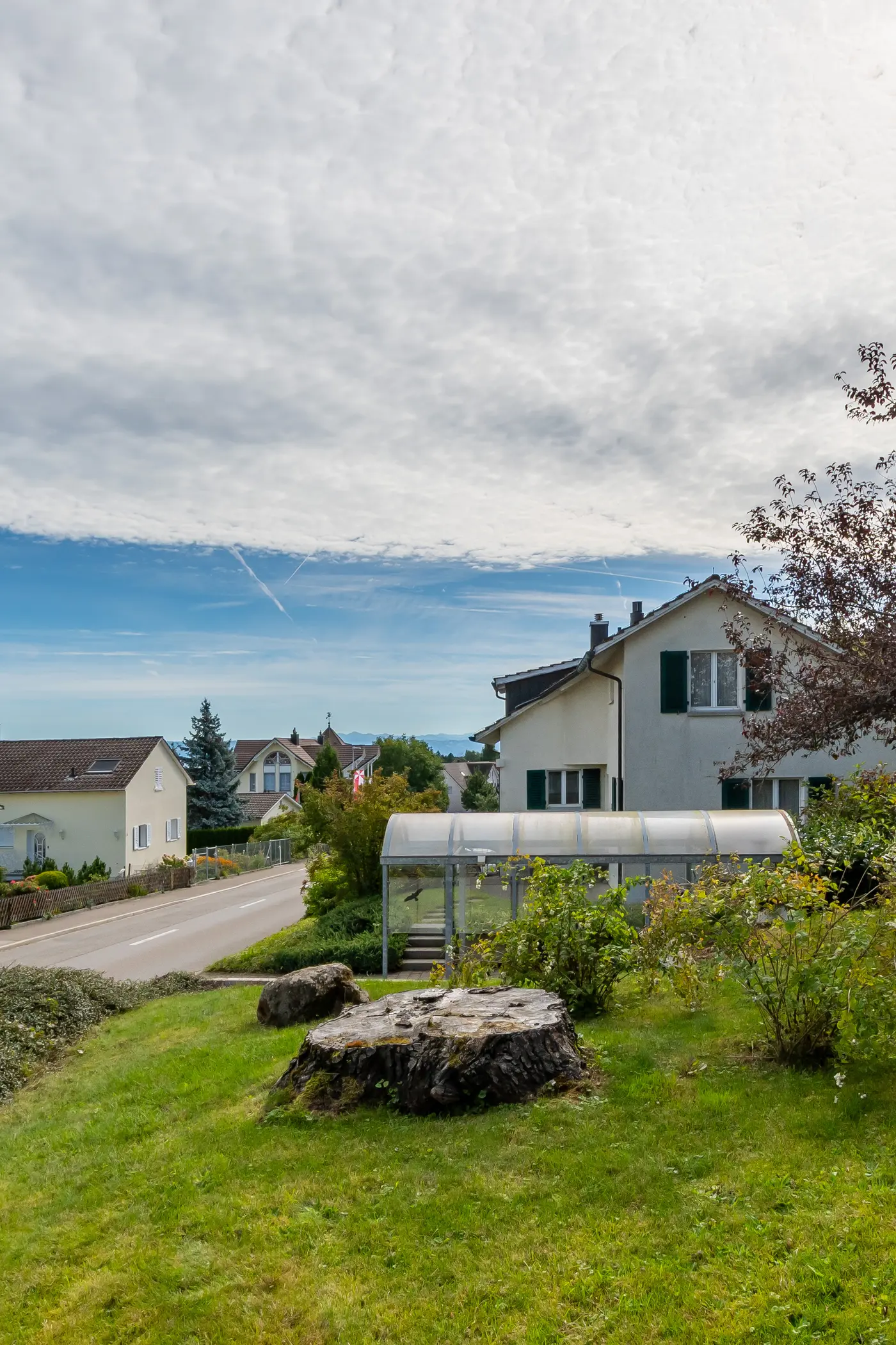 2cddb437-c83a-47be-9db7-4915039bb098_original.jpg?c=fc2627ce0a984d55810a2c2d09042a0e