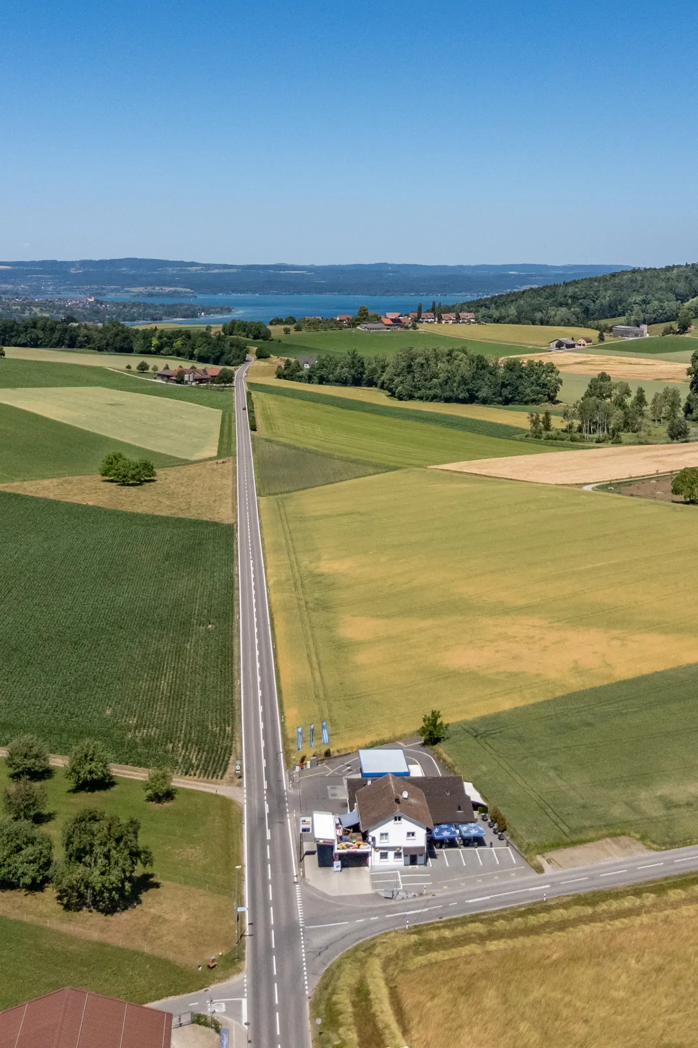 2e928c29-cb34-467d-ac1b-5c4c8c696748_original.jpg?c=9825686df48d4009960a0d7b07f9e216