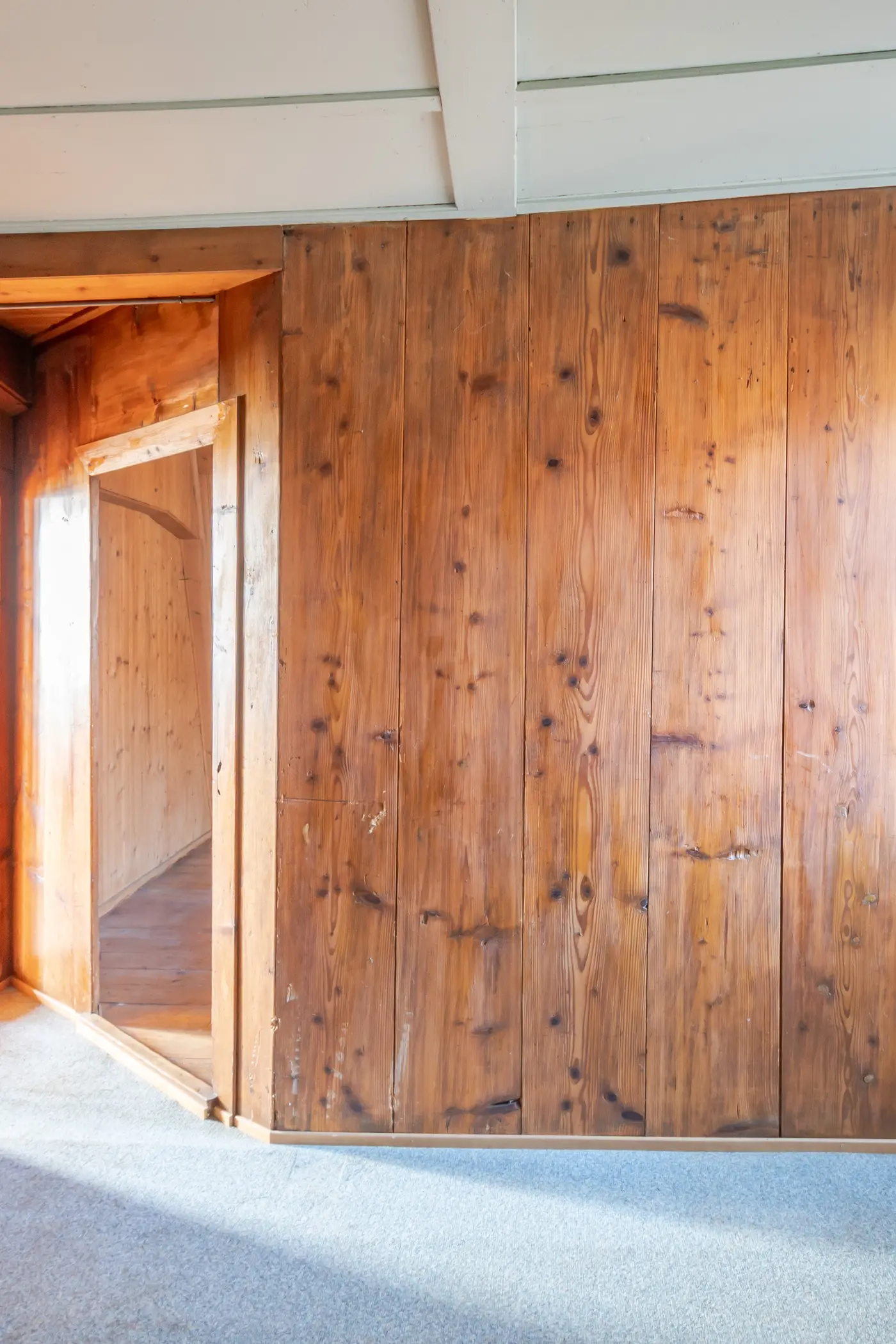 33a30b6f-73e1-4869-a5c9-11ea794b997f_original.jpg?c=c276da48e1bb4795b9b453bfdf40f334