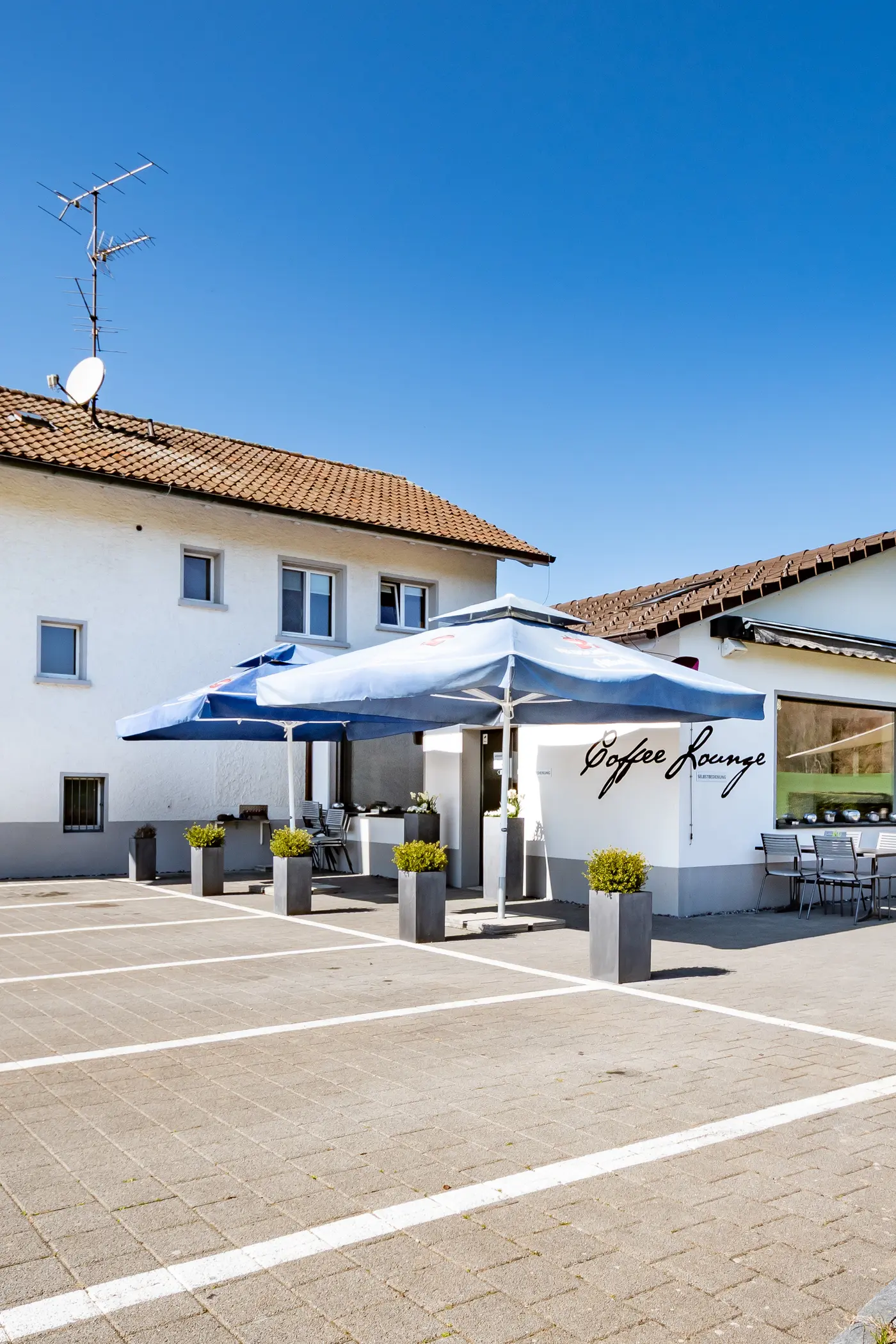 36efcf41-7863-4d8c-9466-58e41e4dcb8c_original.jpg?c=c085b5c4953143049e4f97b124e90dc6