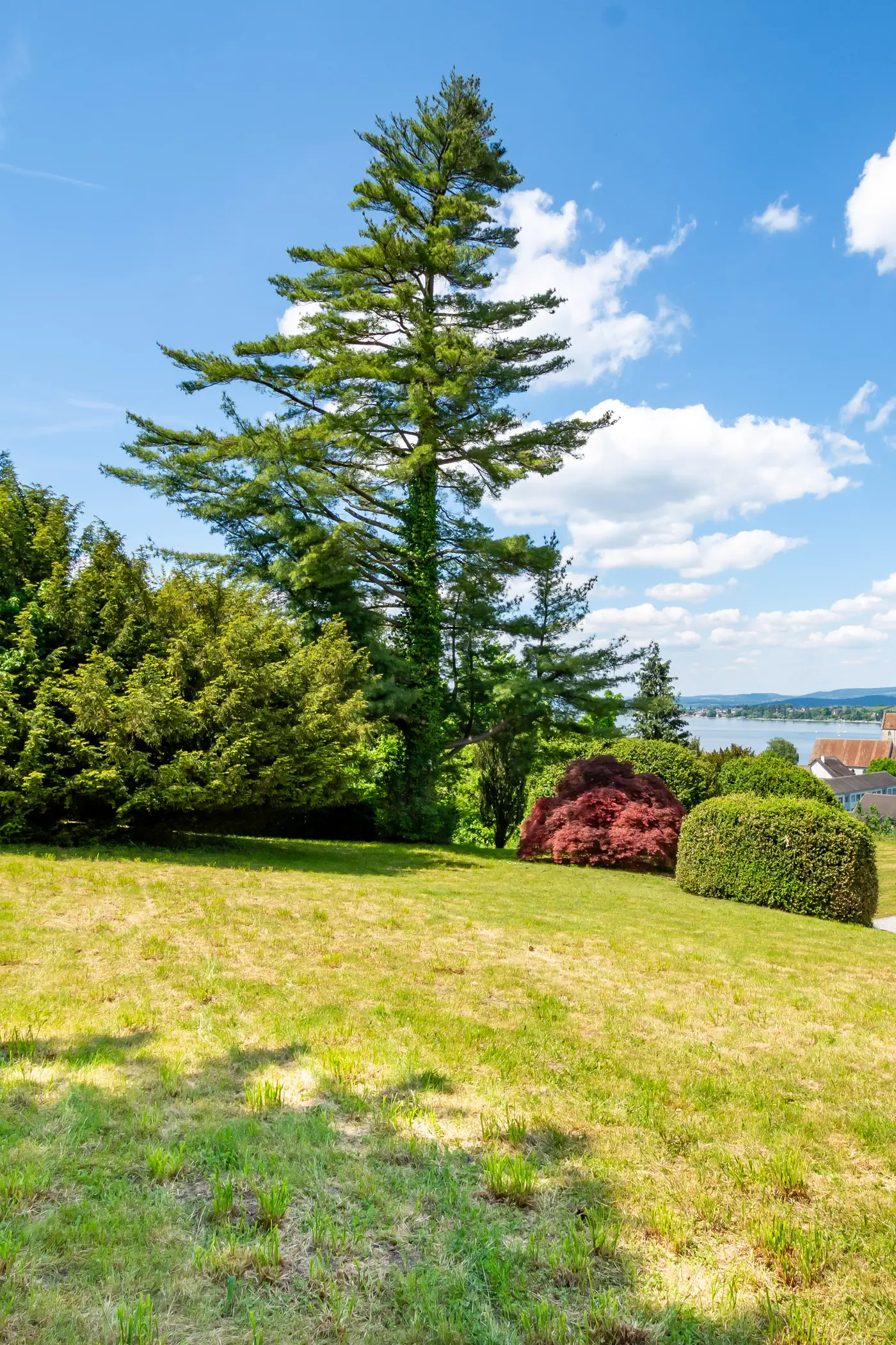 38f17b3d-cc63-4934-aa3e-f701ae56dc6c_original.jpg?c=d6229ebd8fd34d23b0f28f311c1c2509