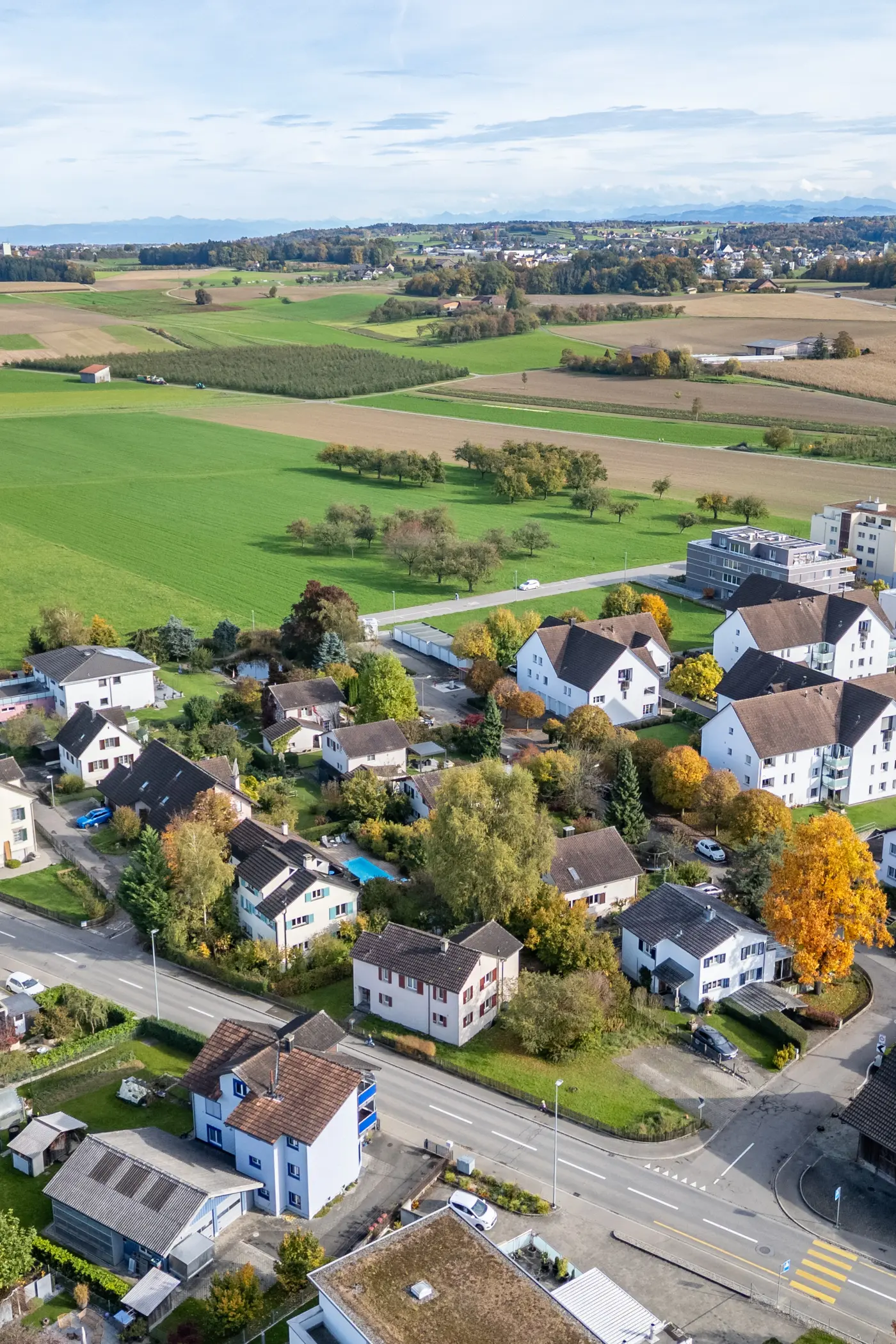 3a0ca3f7-d028-4931-bd1f-b5c9ba2dfaf6_original.jpg?c=e2f34603ab9647238ea6610ed837d00d