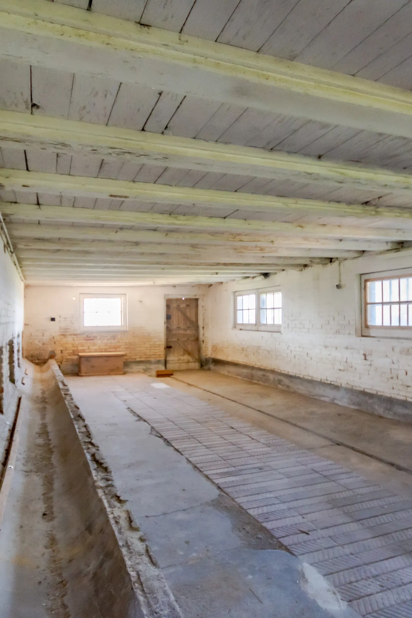 3a623351-2b46-4415-ae47-a287be56c6c9_original.jpg?c=632efa839e7b49cc89302ad1d9cf4f93