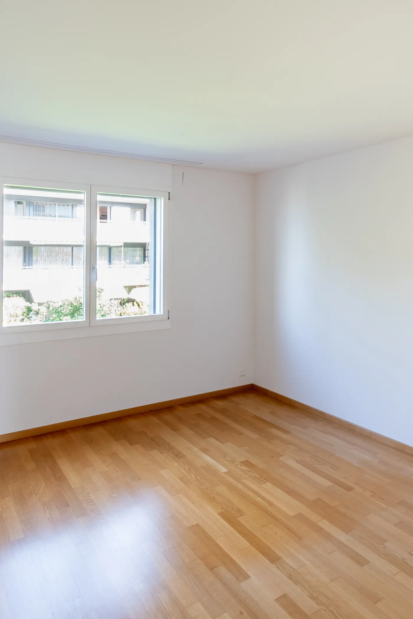 3ae9e0e5-cbd8-44d8-83ed-94a38522699f_original.jpg?c=500cac0cd05a4d3ca5d5f415cf4d69ef