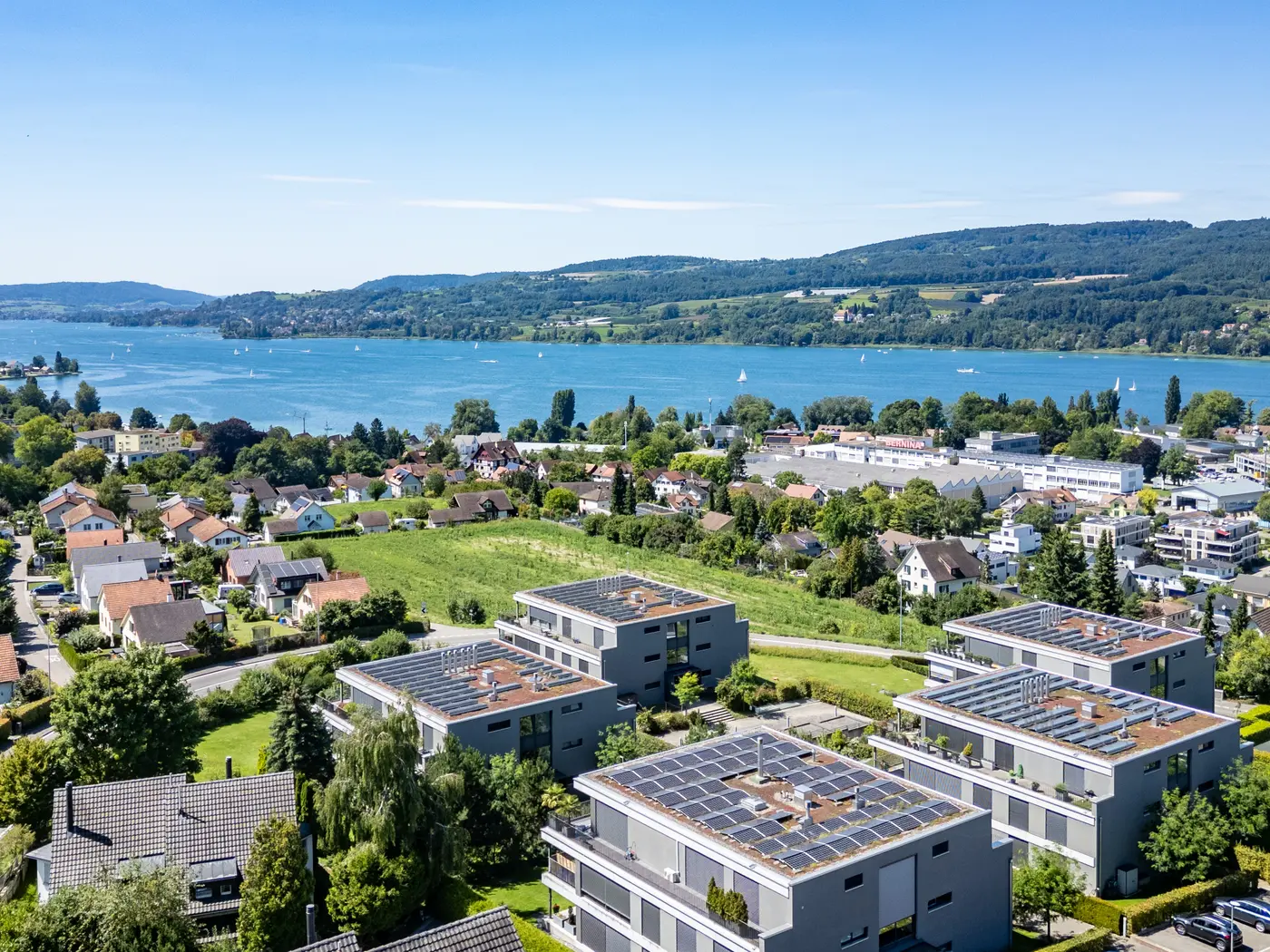 4049ac06-2c04-4850-8dd9-71264046f0c0_original.jpg?c=214528253a67448ba4552edf696ce1e4