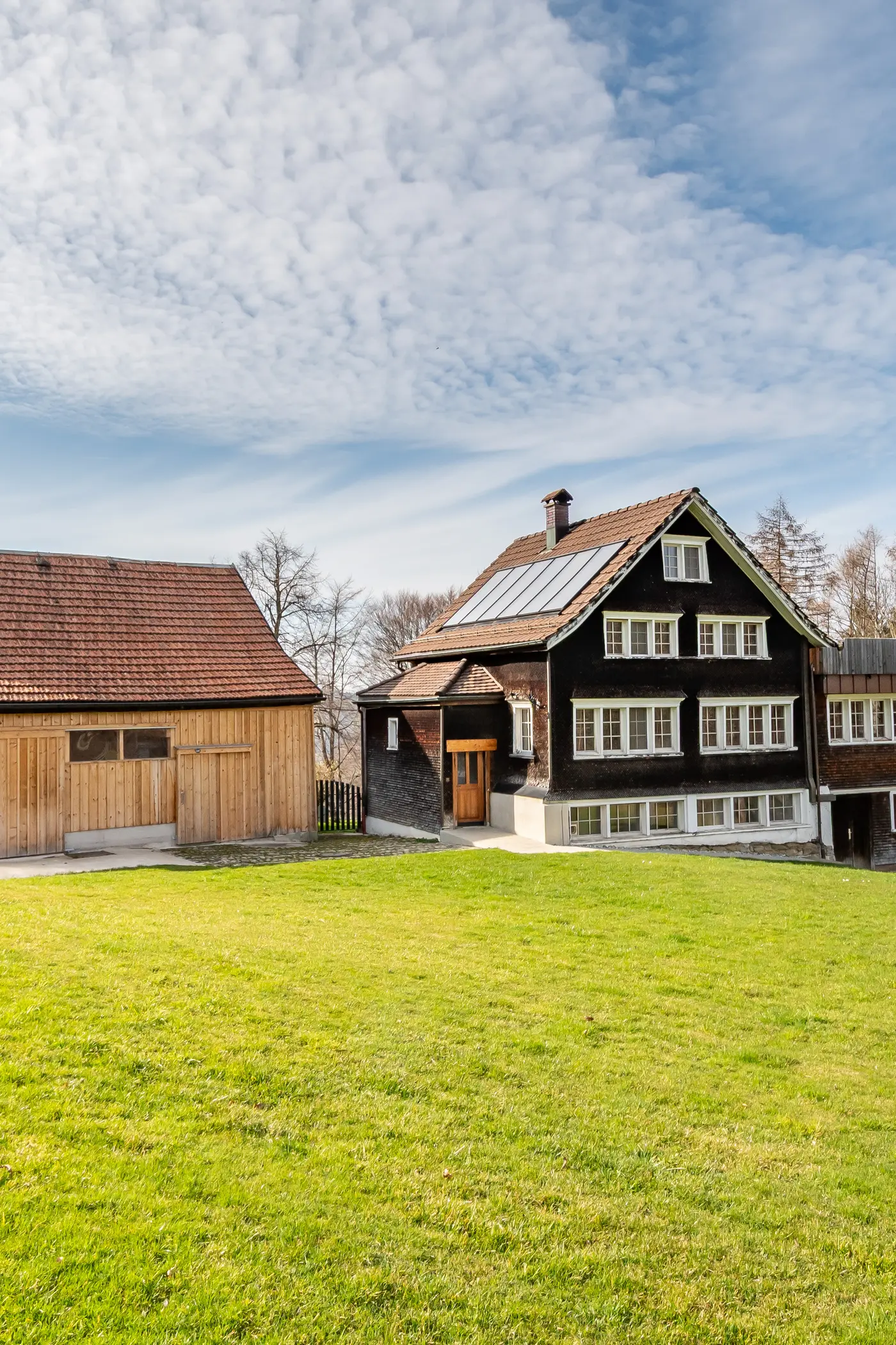 41d97ff5-8e40-4d91-be11-28fd885b356d_original.jpg?c=278bdddd74914580b0cd3654ce256f07