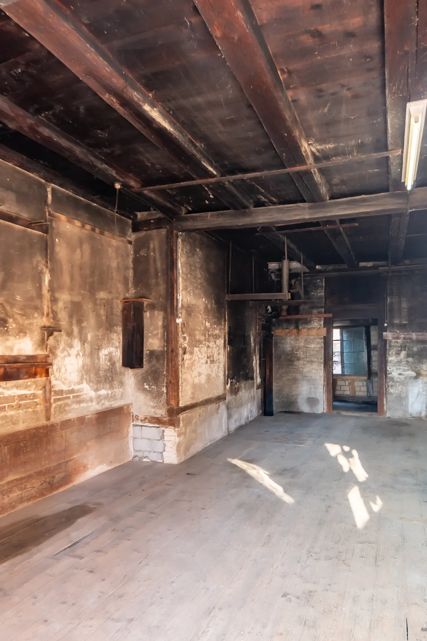 44680b80-7172-4fd0-aa1b-fba39d7416a0_original.jpg?c=71c425a8483d44d78c257c9405eff003