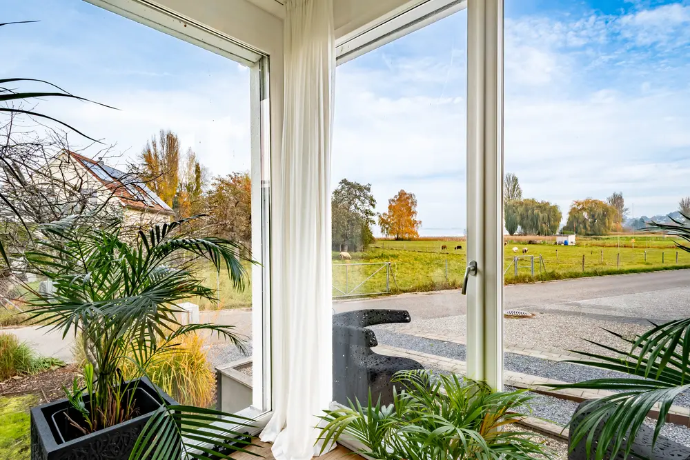 4bbc5f35-8554-48c4-83bf-405fa00ce365_original.jpg?c=72660ce023b44a2abaa9c76ef7aea167