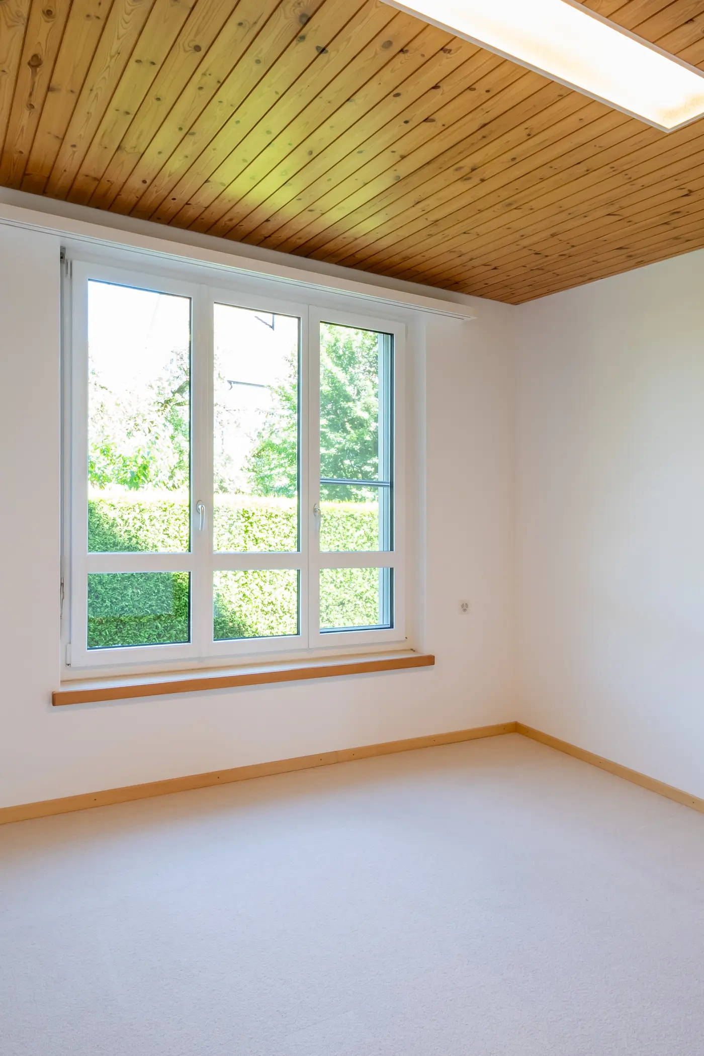 4c16e76e-45ee-4603-82b2-e9dbd92576f0_original.jpg?c=39860bc49126440ea94ee3db039b713b