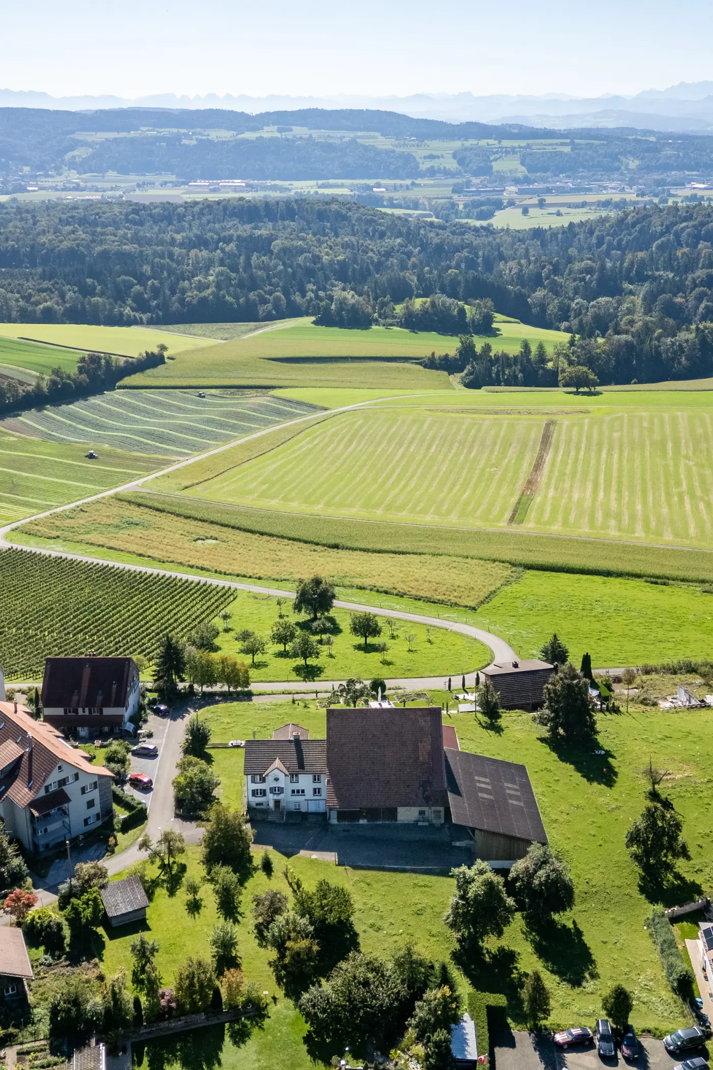 51c7da93-dcf5-40e5-bd1c-fcaf626acdf3_original.jpg?c=7de98fb2d5544246a6d06576e1283dfe