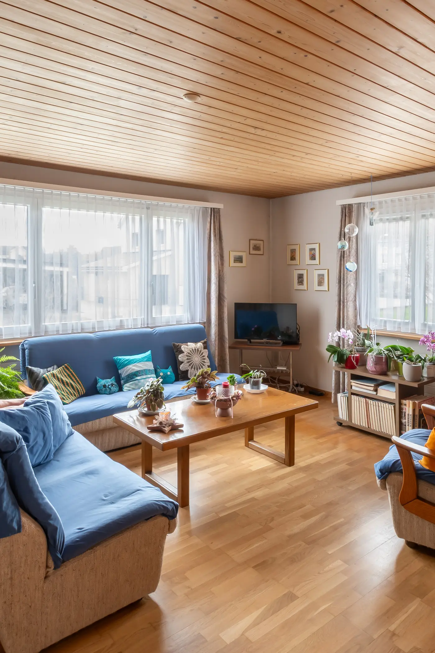 52ae218b-638f-46d0-a313-b3c008efeb11_original.jpg?c=6b3bb87059c140f6b341f1f7acd461e0