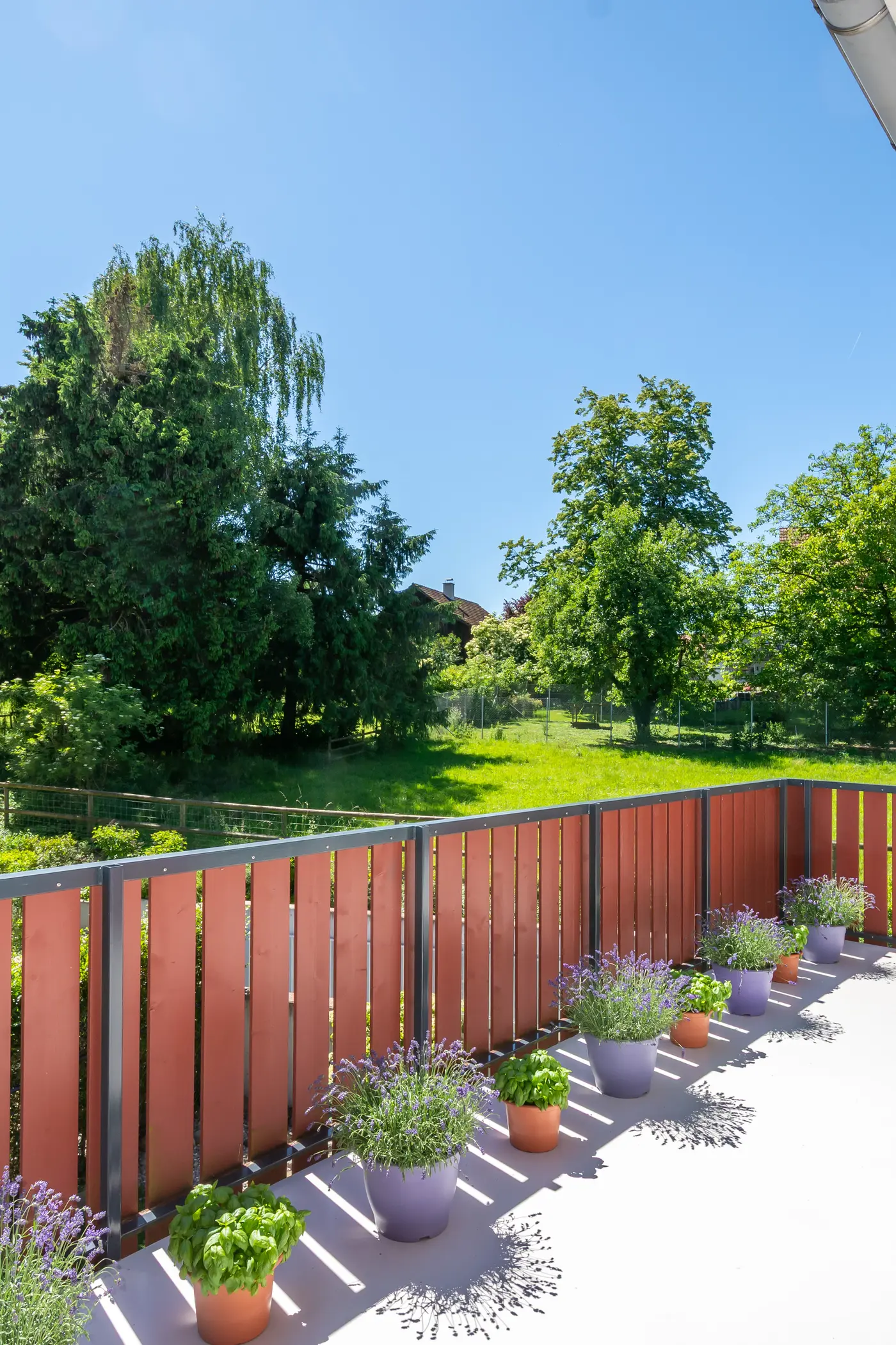 534b4de4-df09-474c-a92d-51a9f7f16fdf_original.jpg?c=5f588de4344745fd9992e403ccfa8e8c