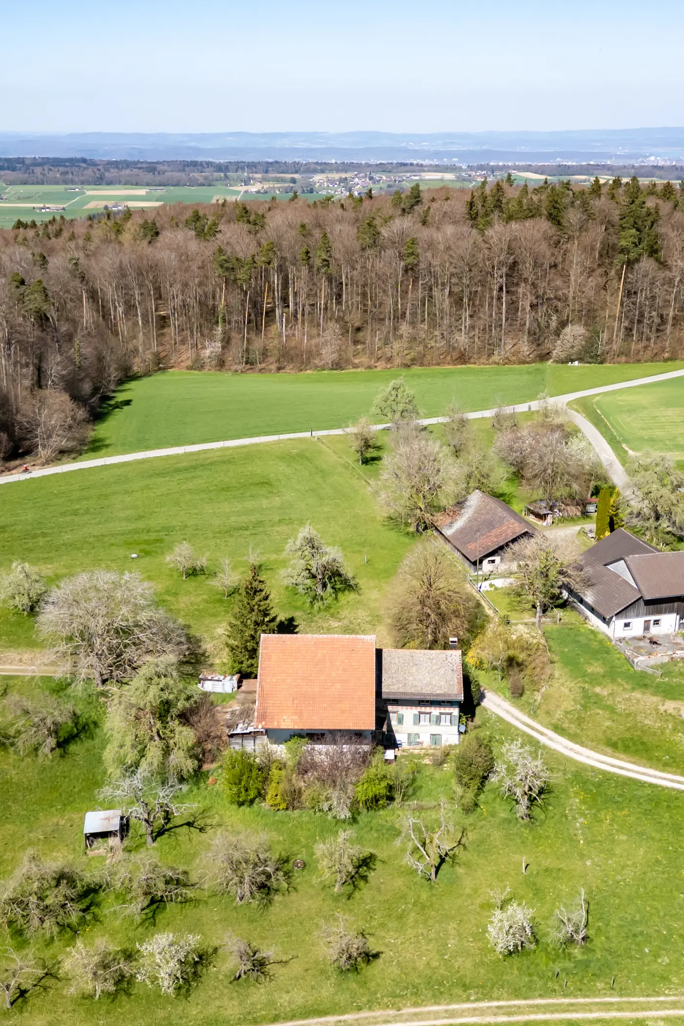 53b7ad0e-eded-429e-972d-3b4cd6f11e12_original.jpg?c=3bc0ee287b2242149dd858deb07e2b1c