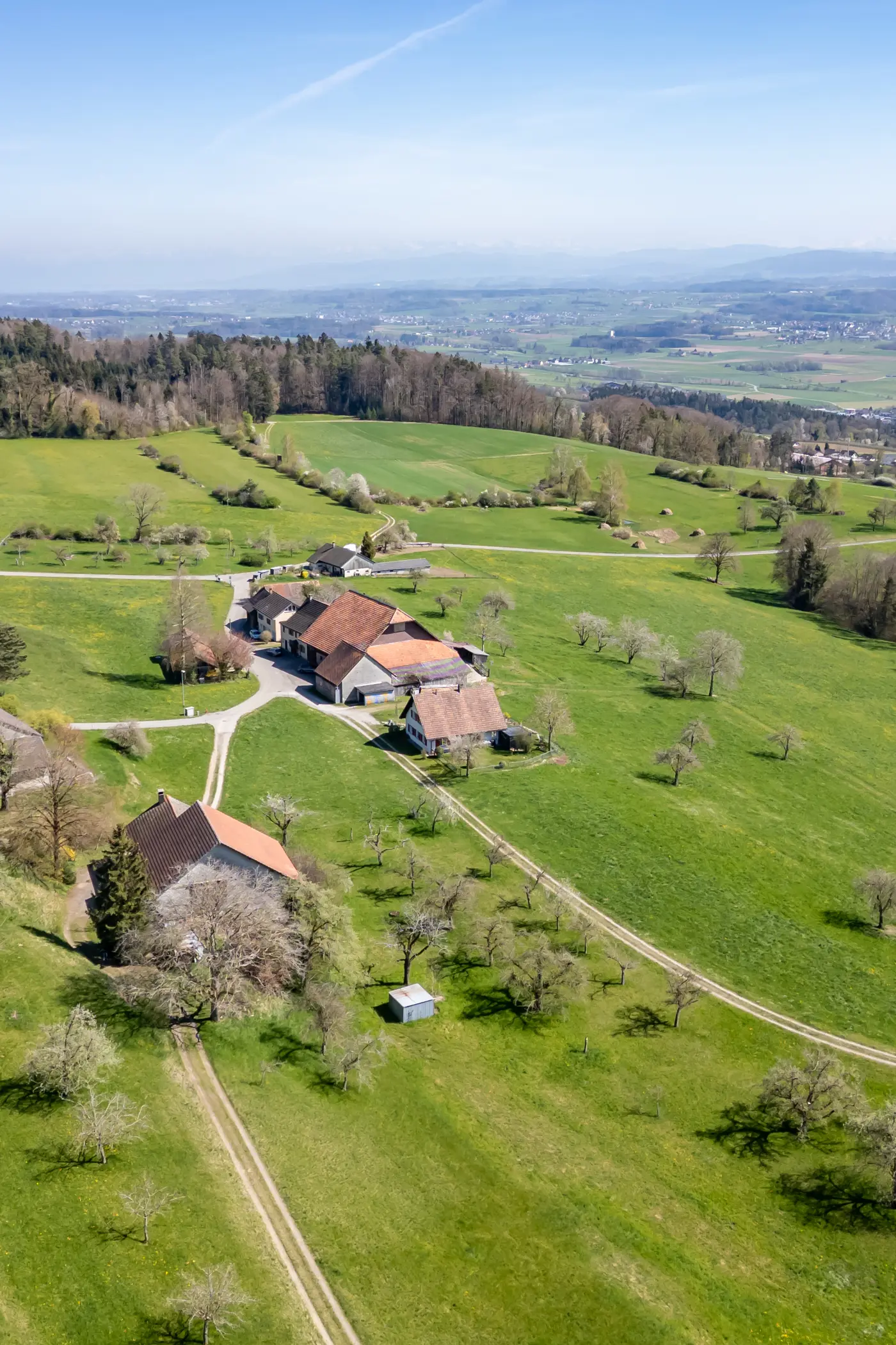 56019bcd-9b22-4654-8cdc-3d724b2db8a3_original.jpg?c=107c8e58ed53459aa5b6481f6414f7c3