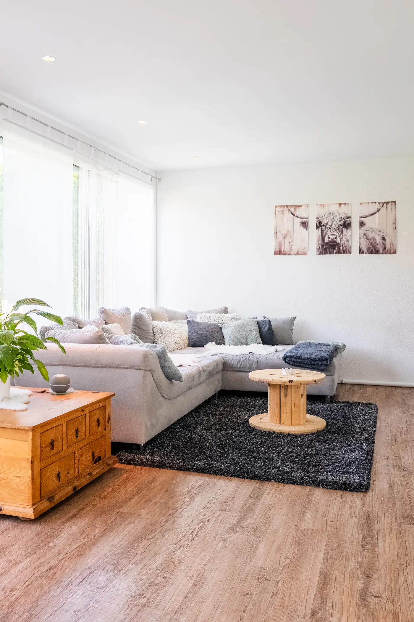 57431f3b-6108-4d2b-a419-34159940fe40_original.jpg?c=48571a472b16426fb8e59427ed28146b