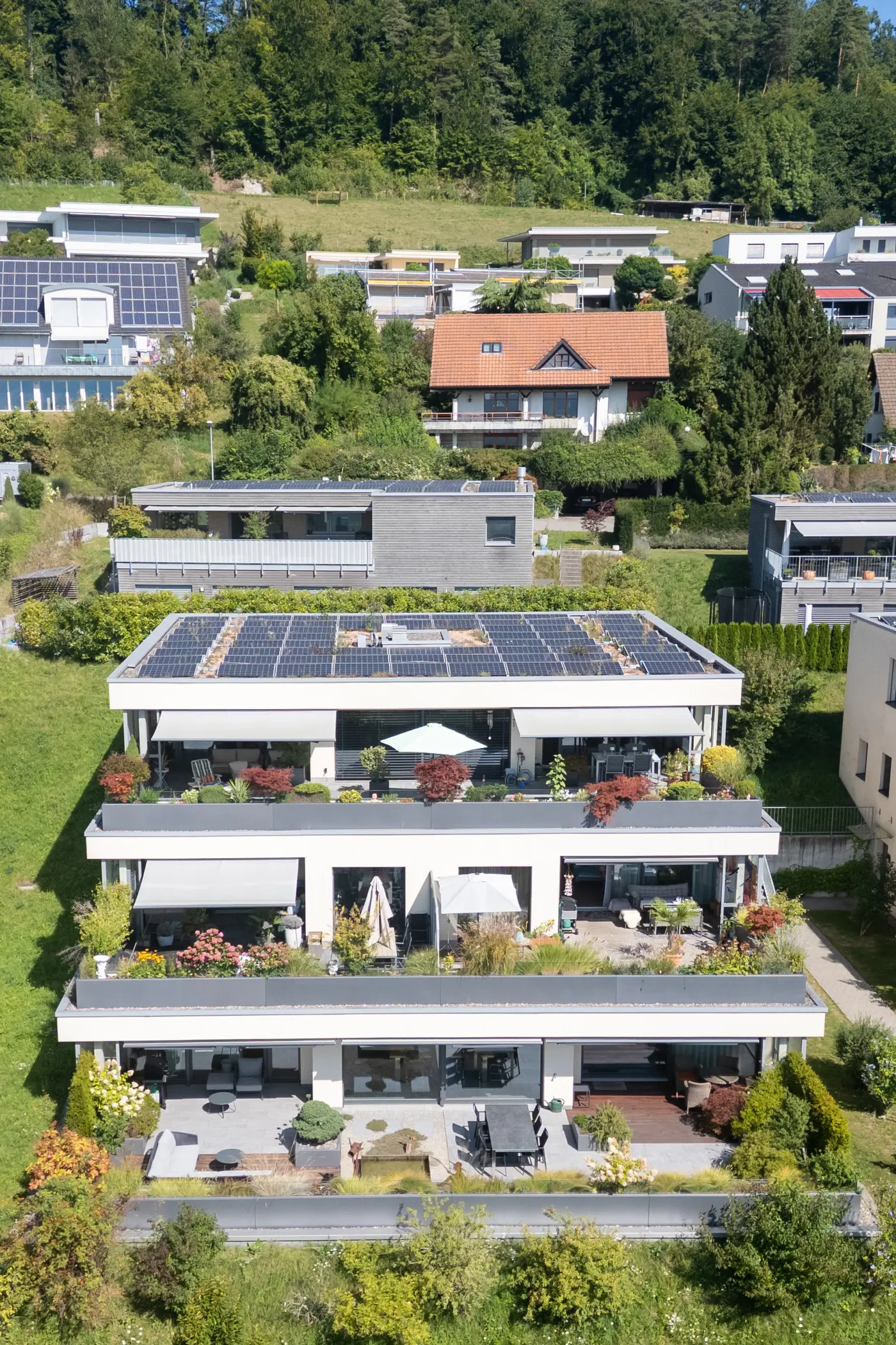 59649a68-ccbd-46a0-aaa3-91385a2c54c4_original.jpg?c=410aeb4d5ca944d78e49e321ca6e7b07