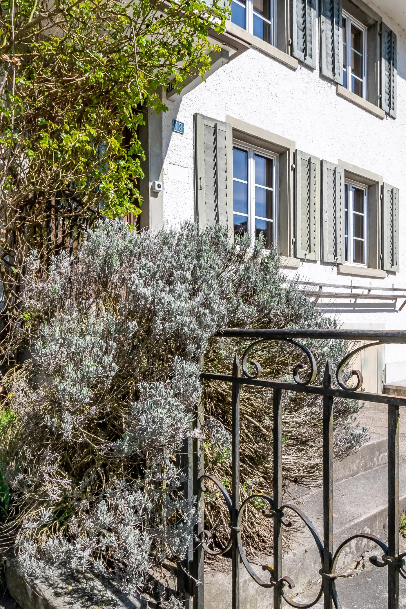 5aeefee0-72f2-4eab-8bd6-c9973aae5ecc_original.jpg?c=9fd01ae4a35e4b50a7aea012f7ff01a4