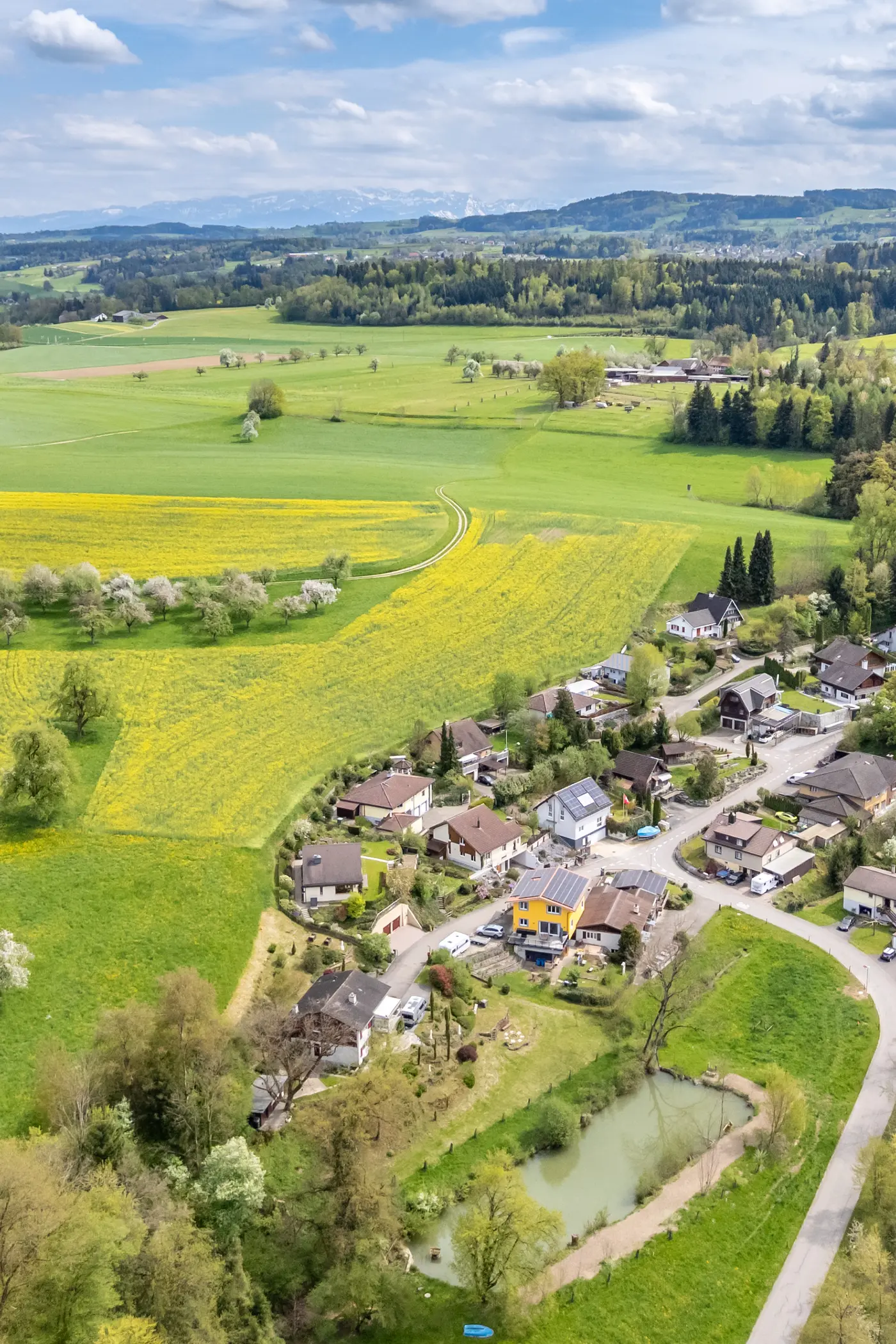 5d4aebce-b06d-4a40-9bd6-a791e609269d_original.jpg?c=4e41488d6112420da8ca00e0344616e6